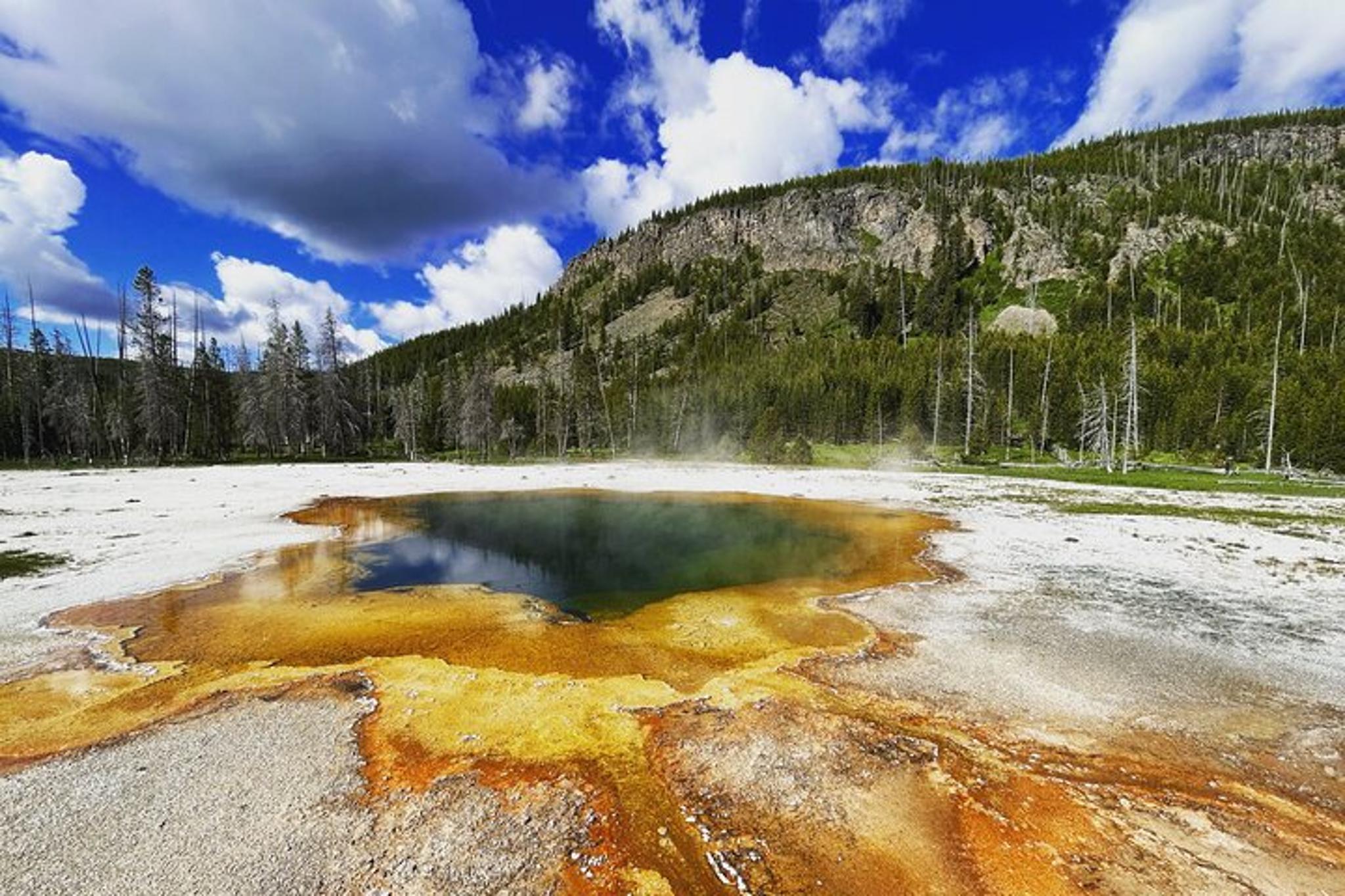 Yellowstone Private Tour - Image 4