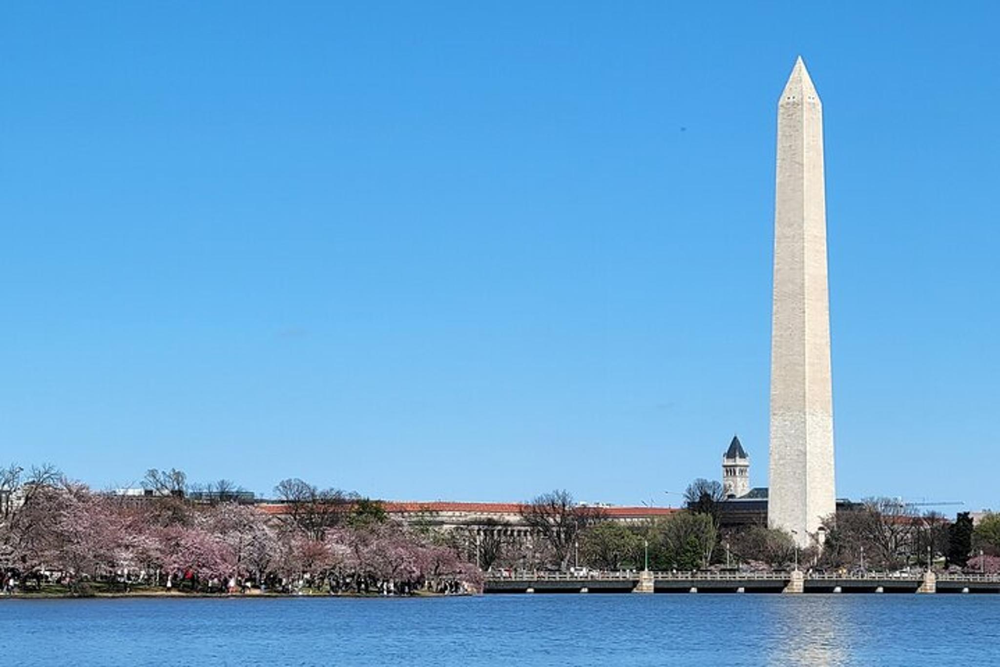 Washington DC Guided Tour in Spanish 4 hr - Image 3