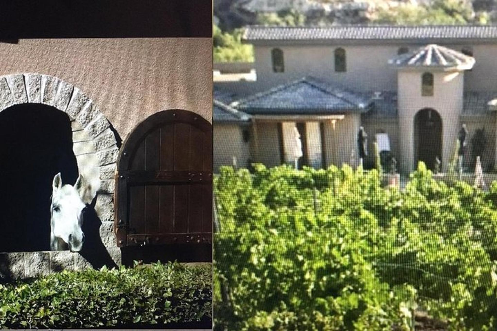 Arizona Vineyard Wine Tasting Tour - Image 4