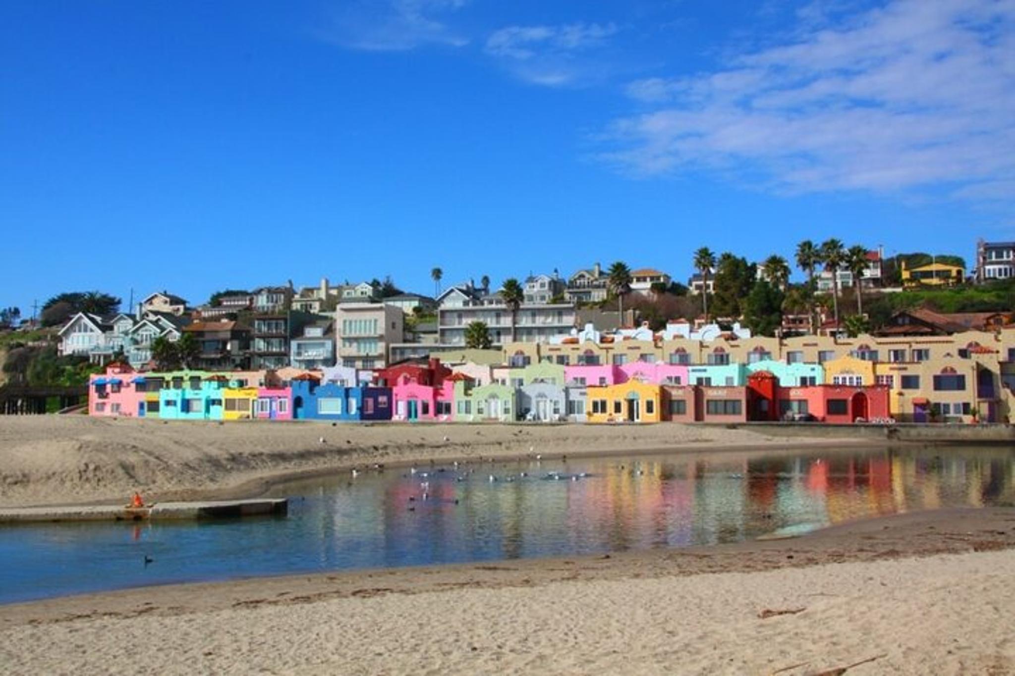 San Francisco Redwood Forest & Santa Cruz Day Trip - Image 6