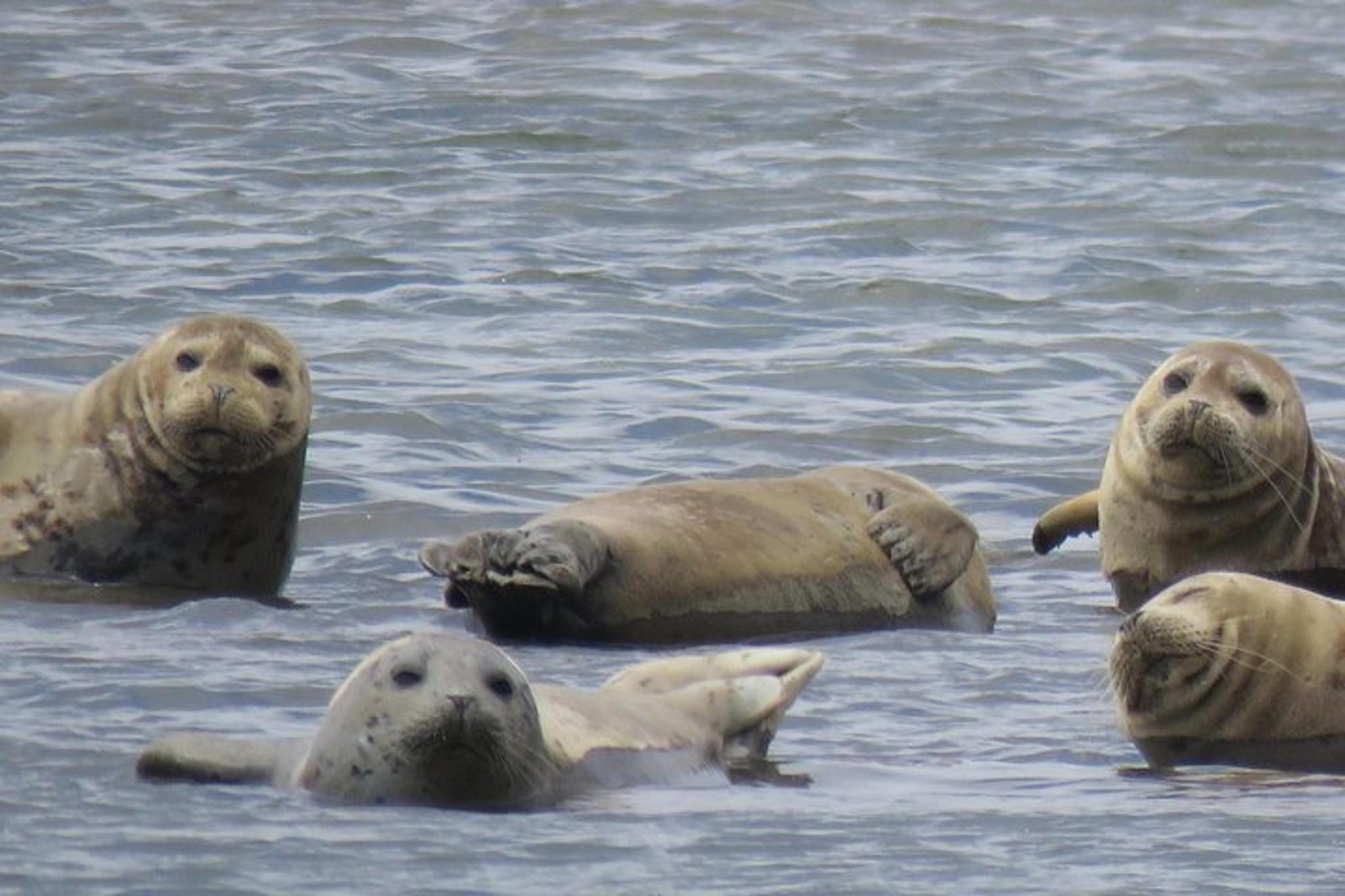 Point Reyes Natural Wonders and Redwoods Tour - Image 6