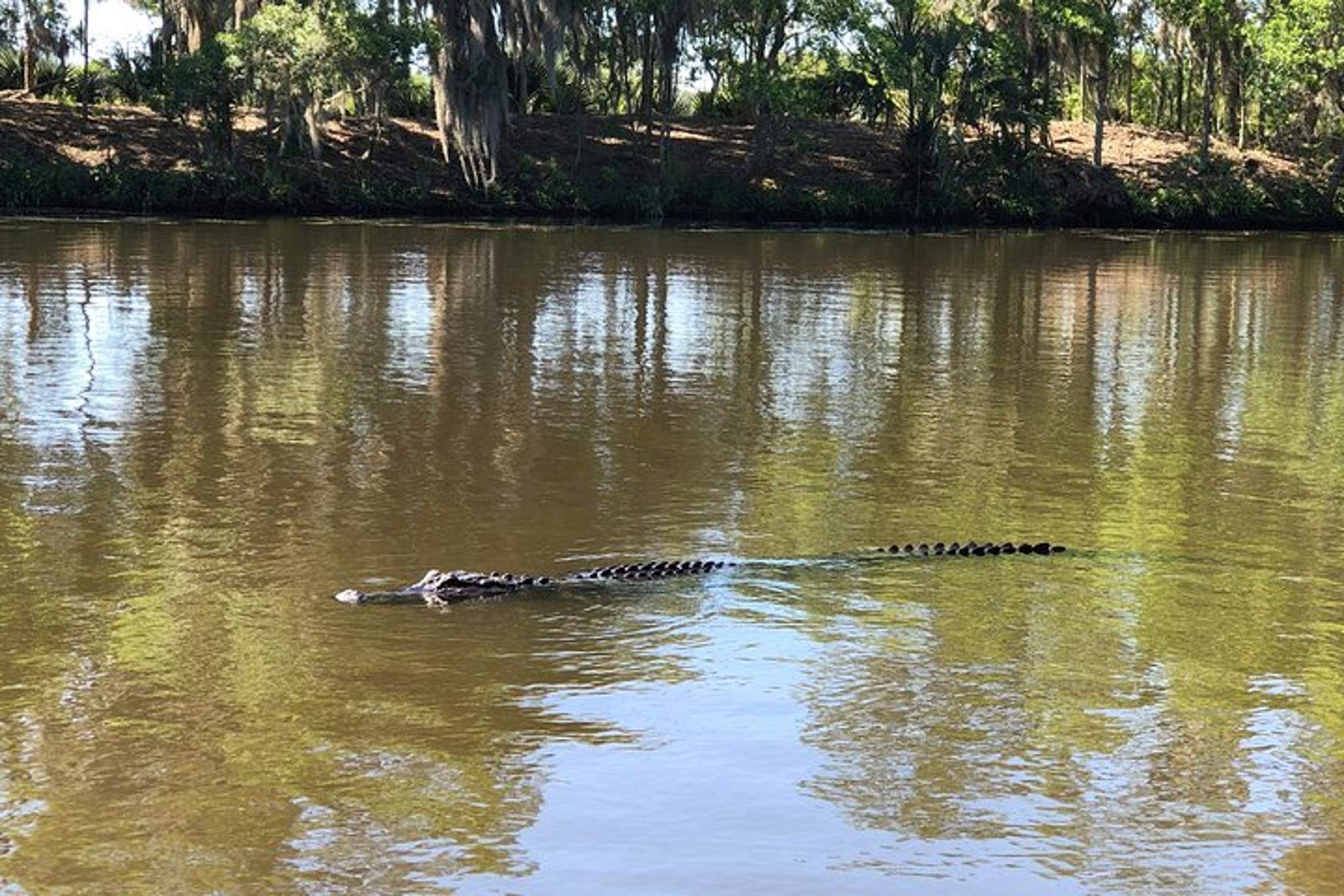 New Orleans City and Swamp Combo Tour - Image 5
