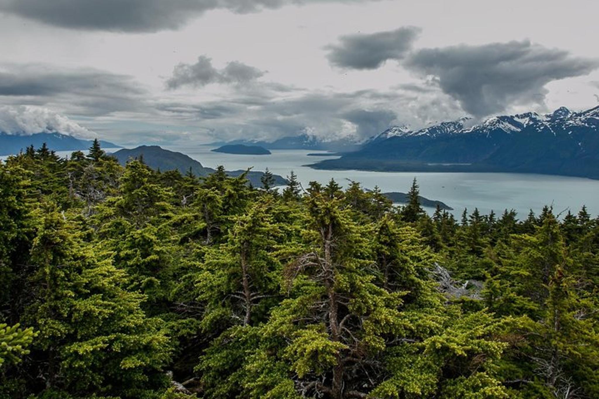 Haines Mount Riley Hike - Image 6