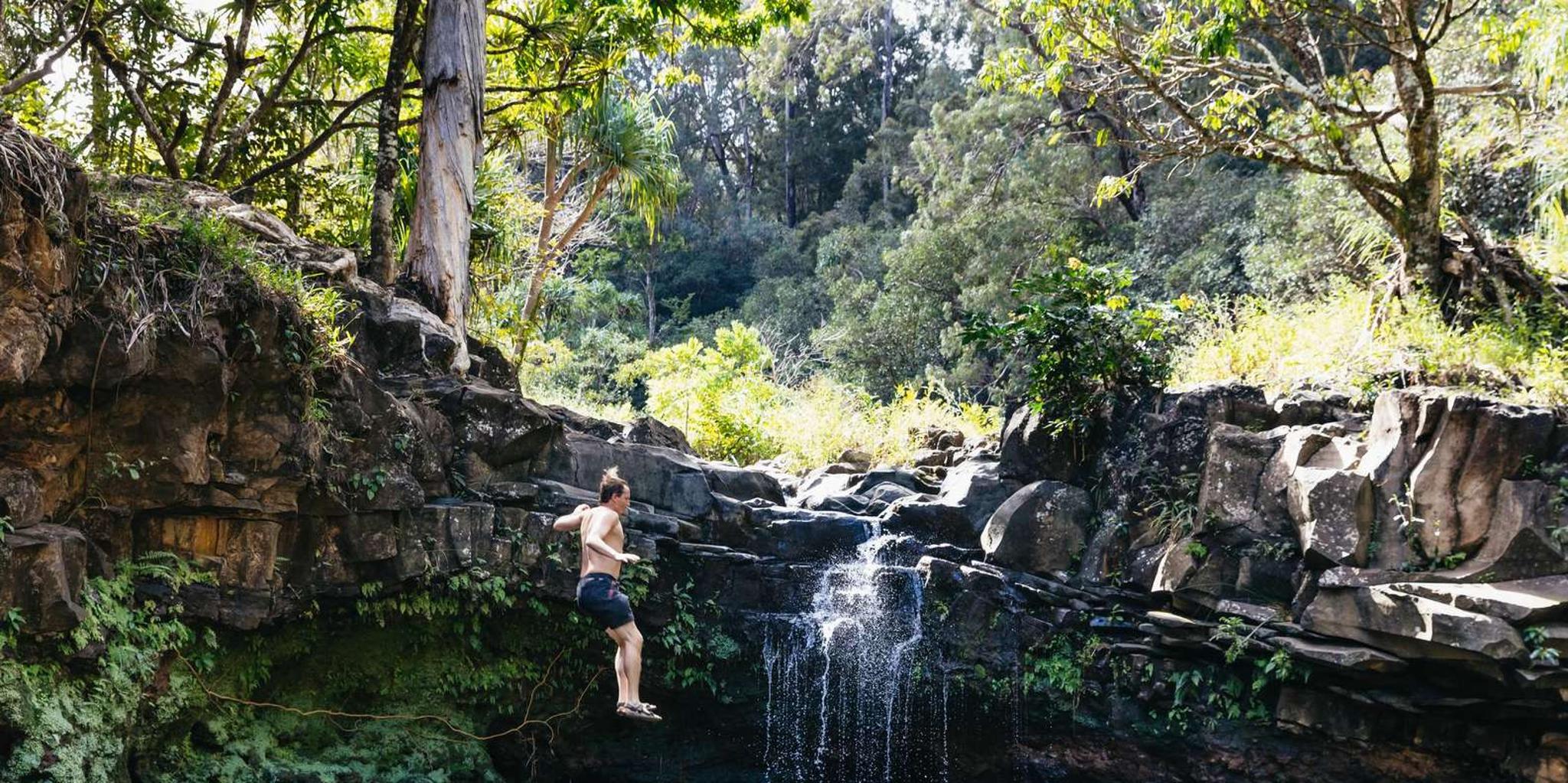 Maui Rainforest Waterfall Hiking Adventure - Image 2