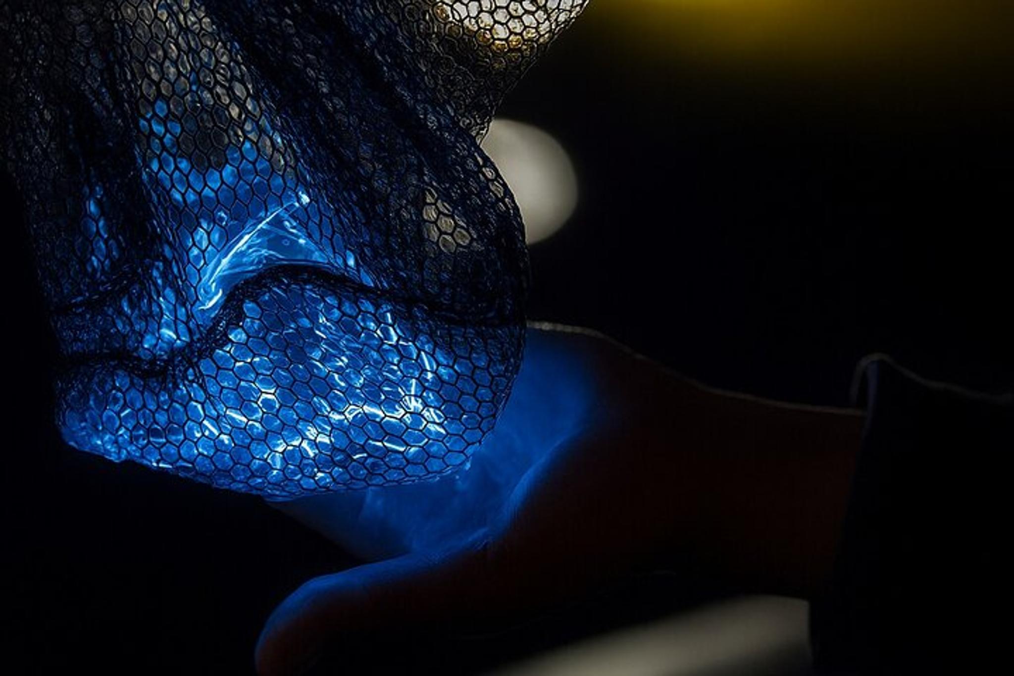 Cocoa Beach Clear Kayaking Bioluminescent Night Tour 90 min - Image 2