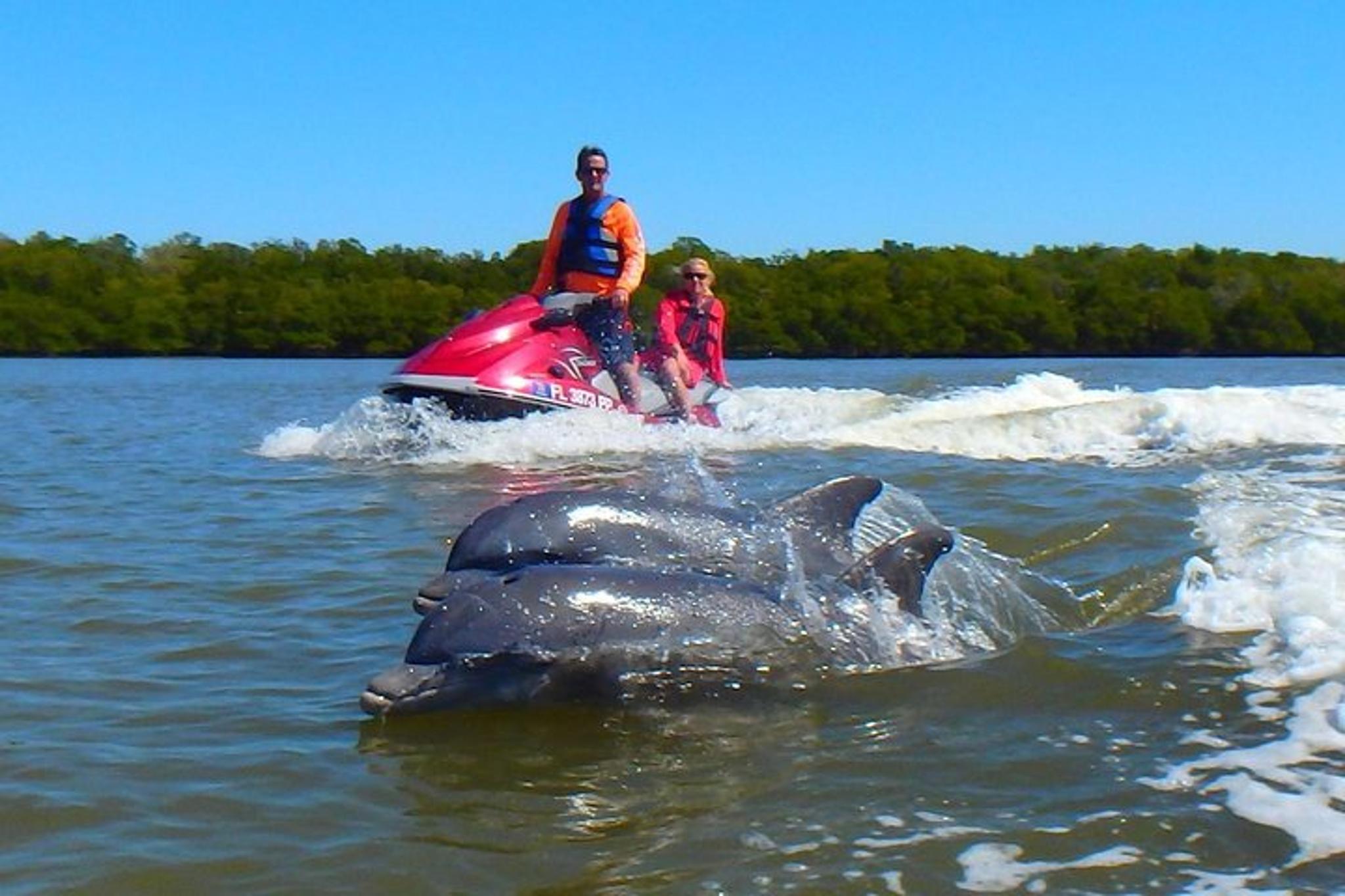 Goodland Dolphin Tour by Jet Ski