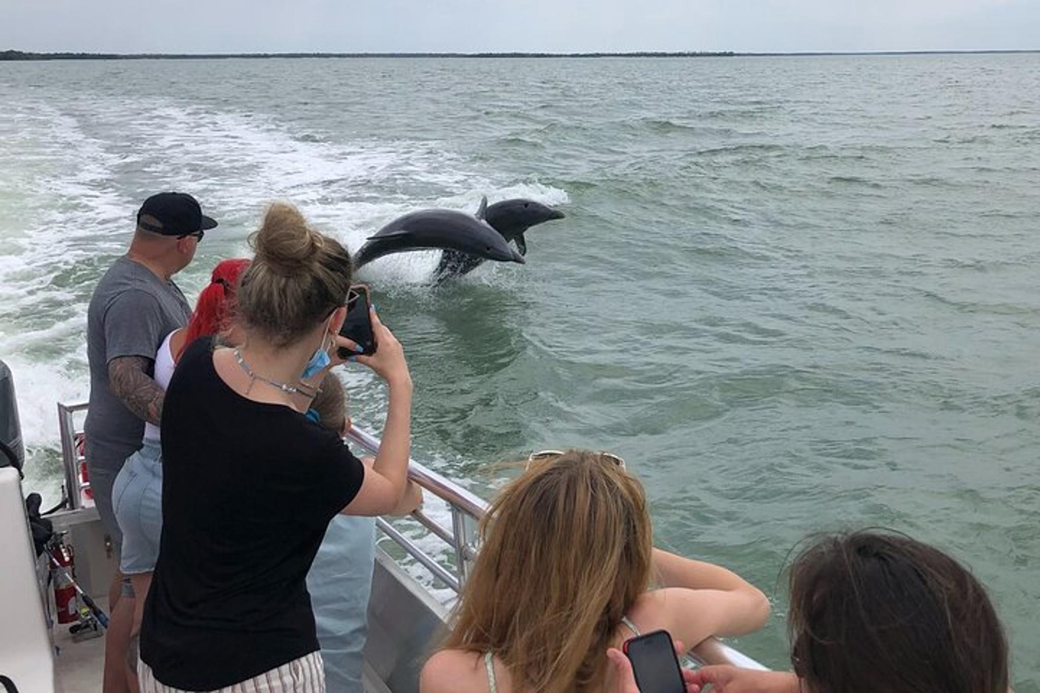 Goodland Dolphin & Shelling Boat Tour 3.5 hr - Image 3