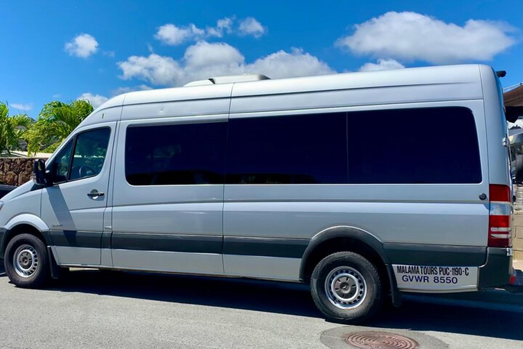 Oahu North Shore Private Van Tour - Image 3