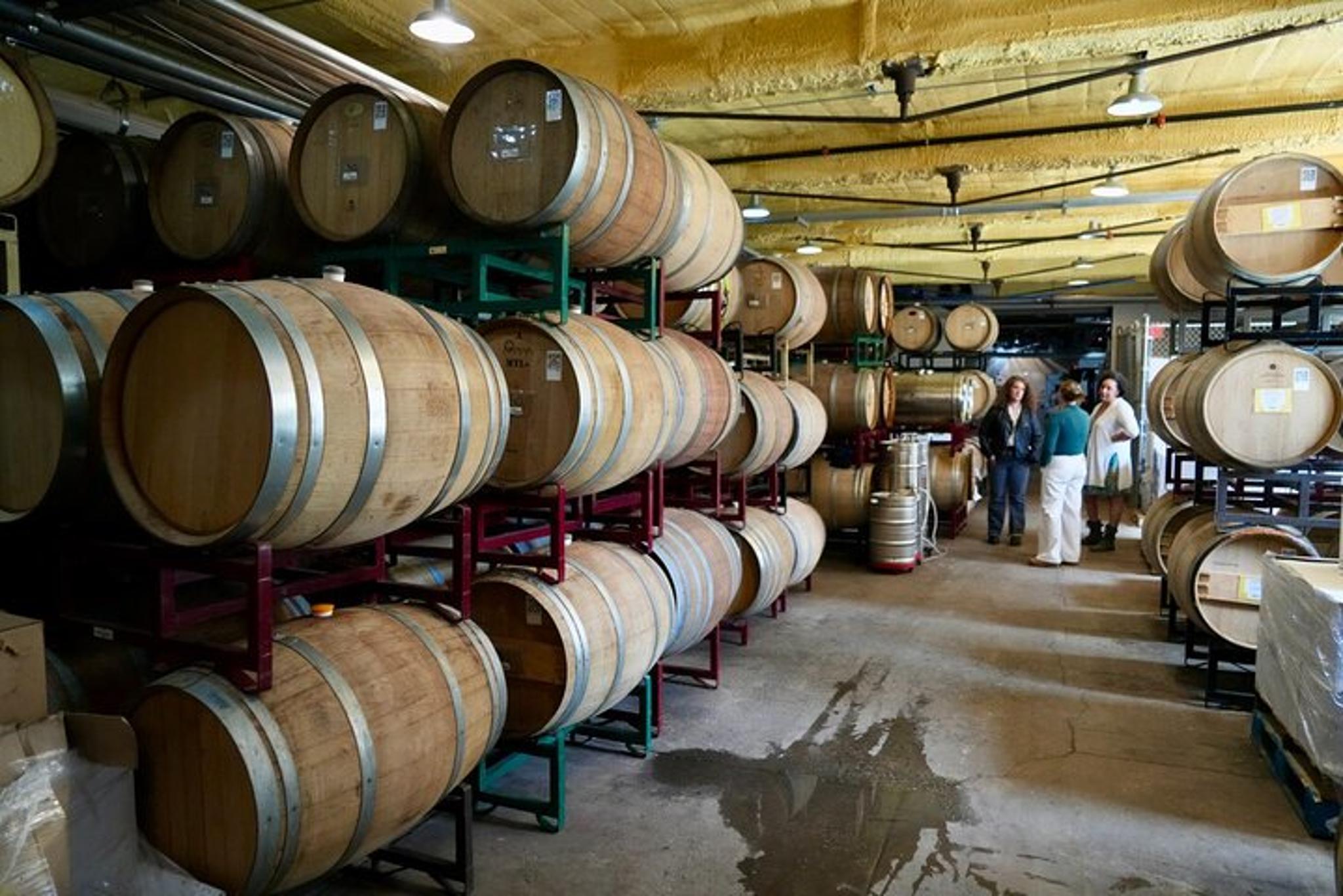 New York City Wine Tasting Tour to Hudson Valley - Image 6