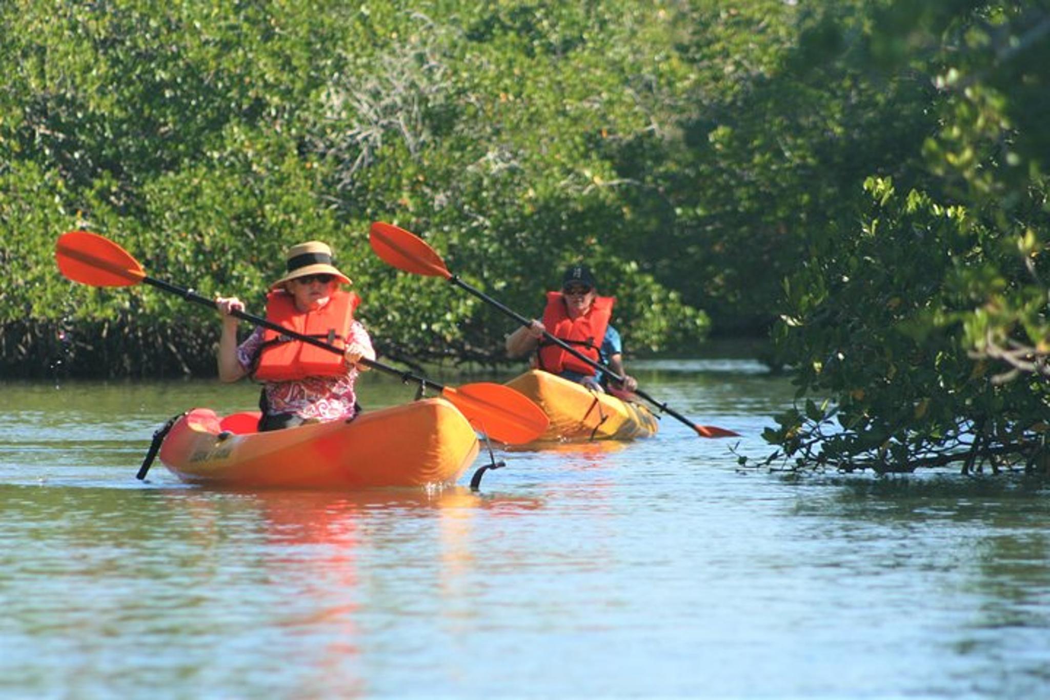 Naples Kayak Rental - Image 6