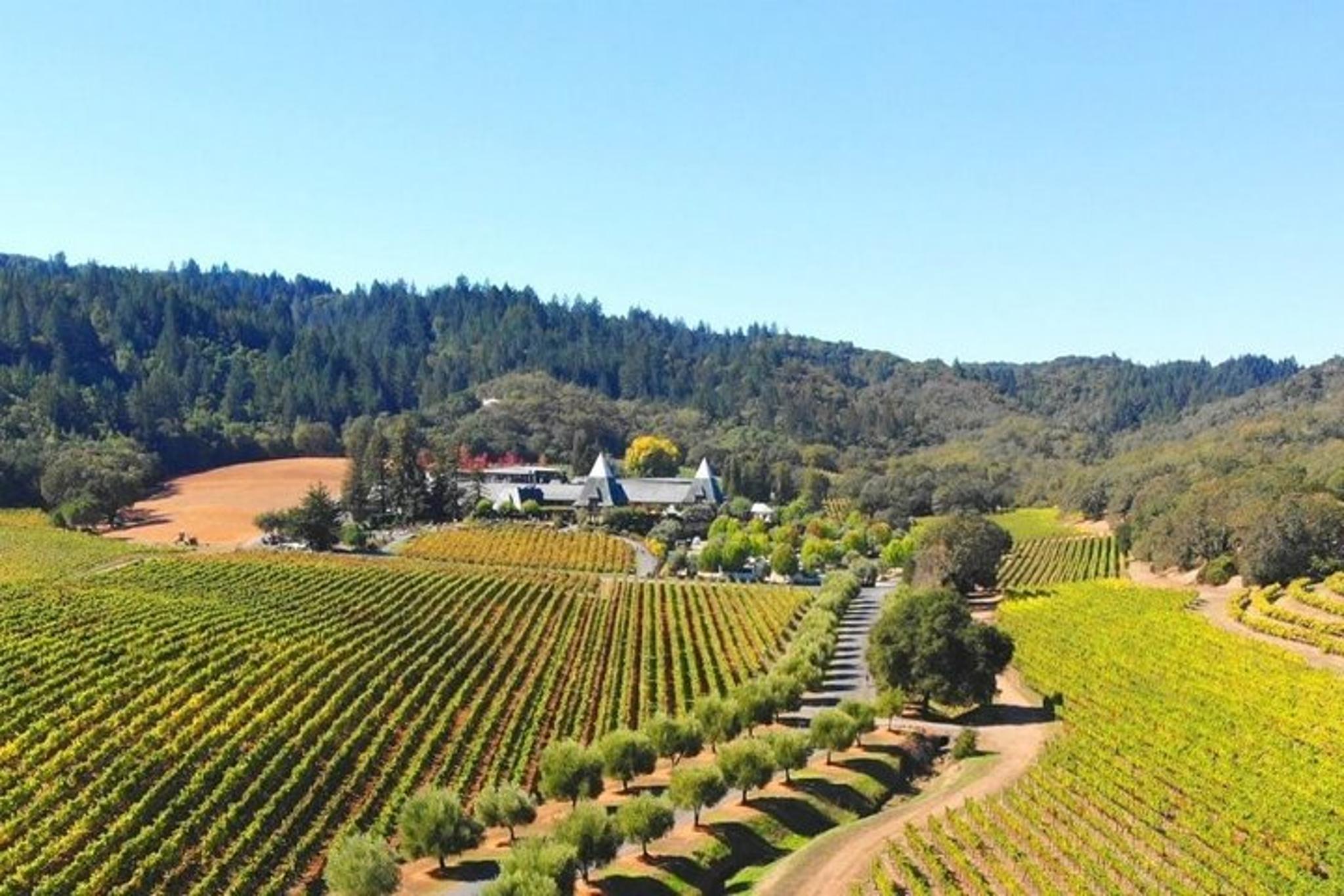 Sonoma Valley Wine Country Custom Tour - Image 2