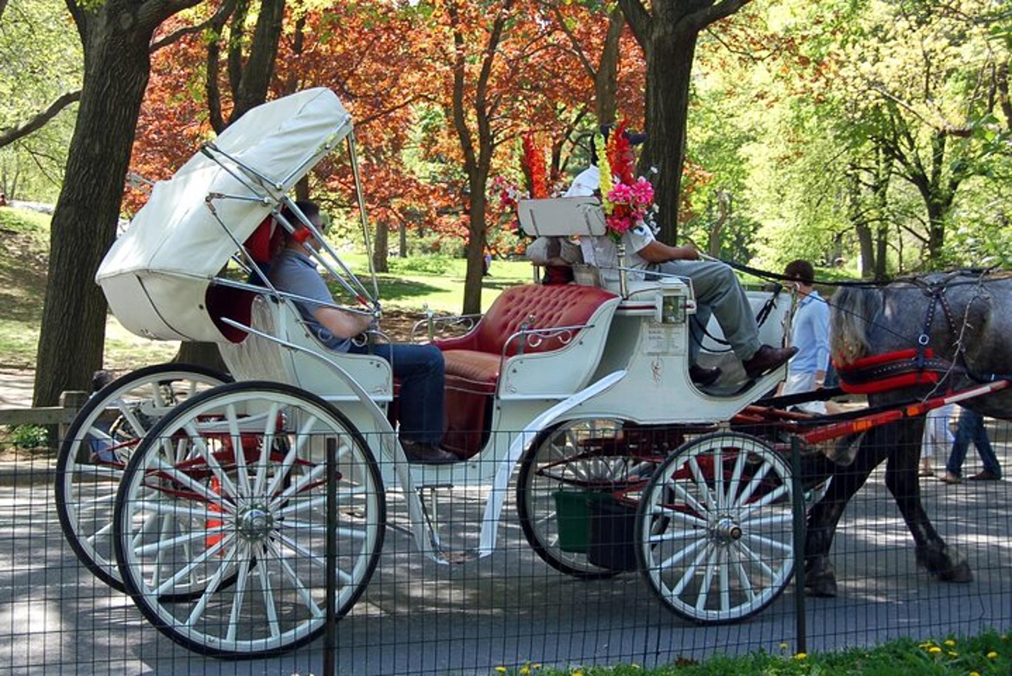 New York City Manhattan Tour - Image 6