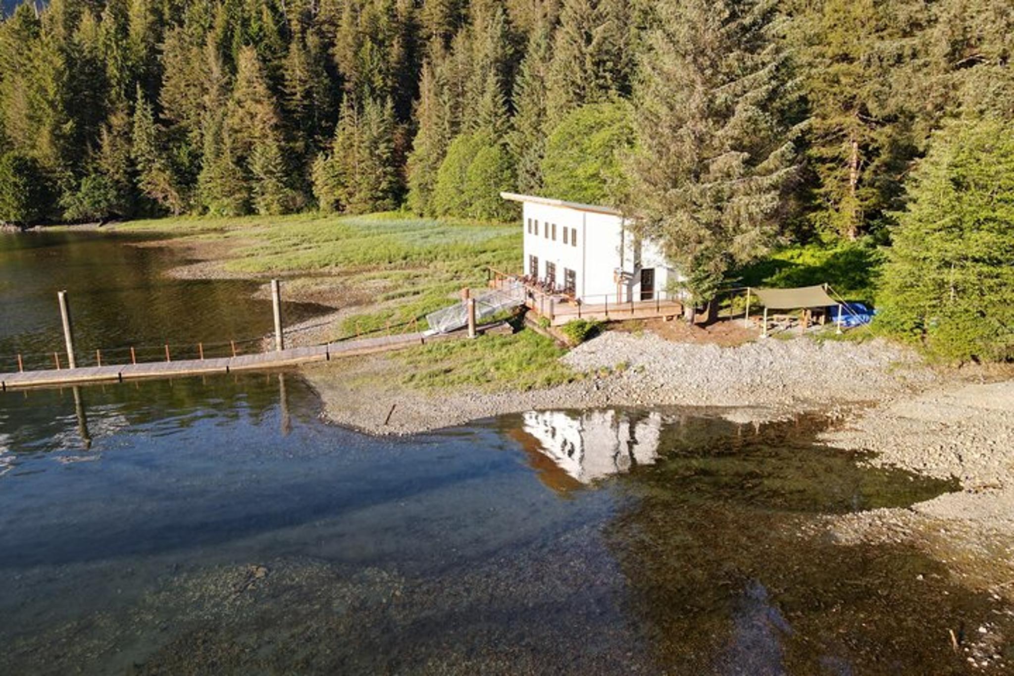 Sitka Bear and Silver Bay Homestead Tour - Image 5