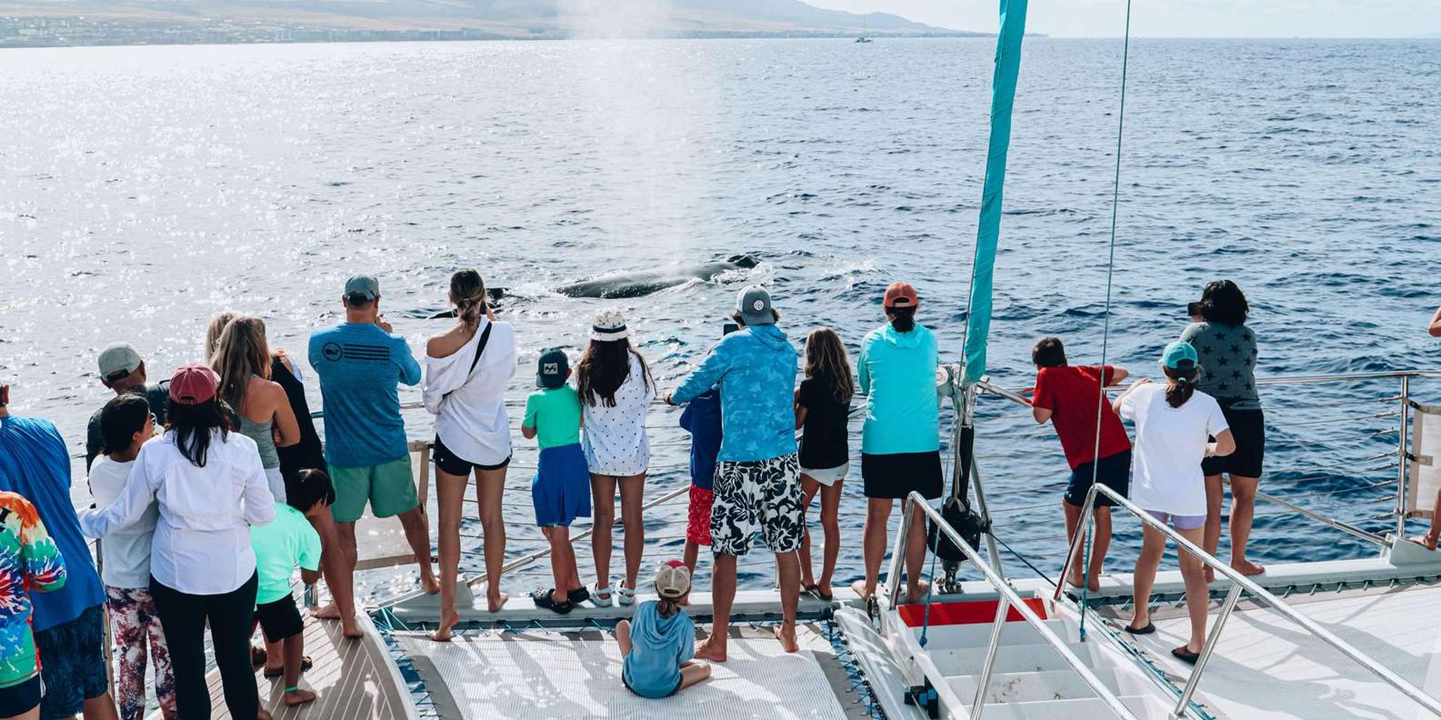 Maui Whale Watching Tour from Ka'anapali Beach