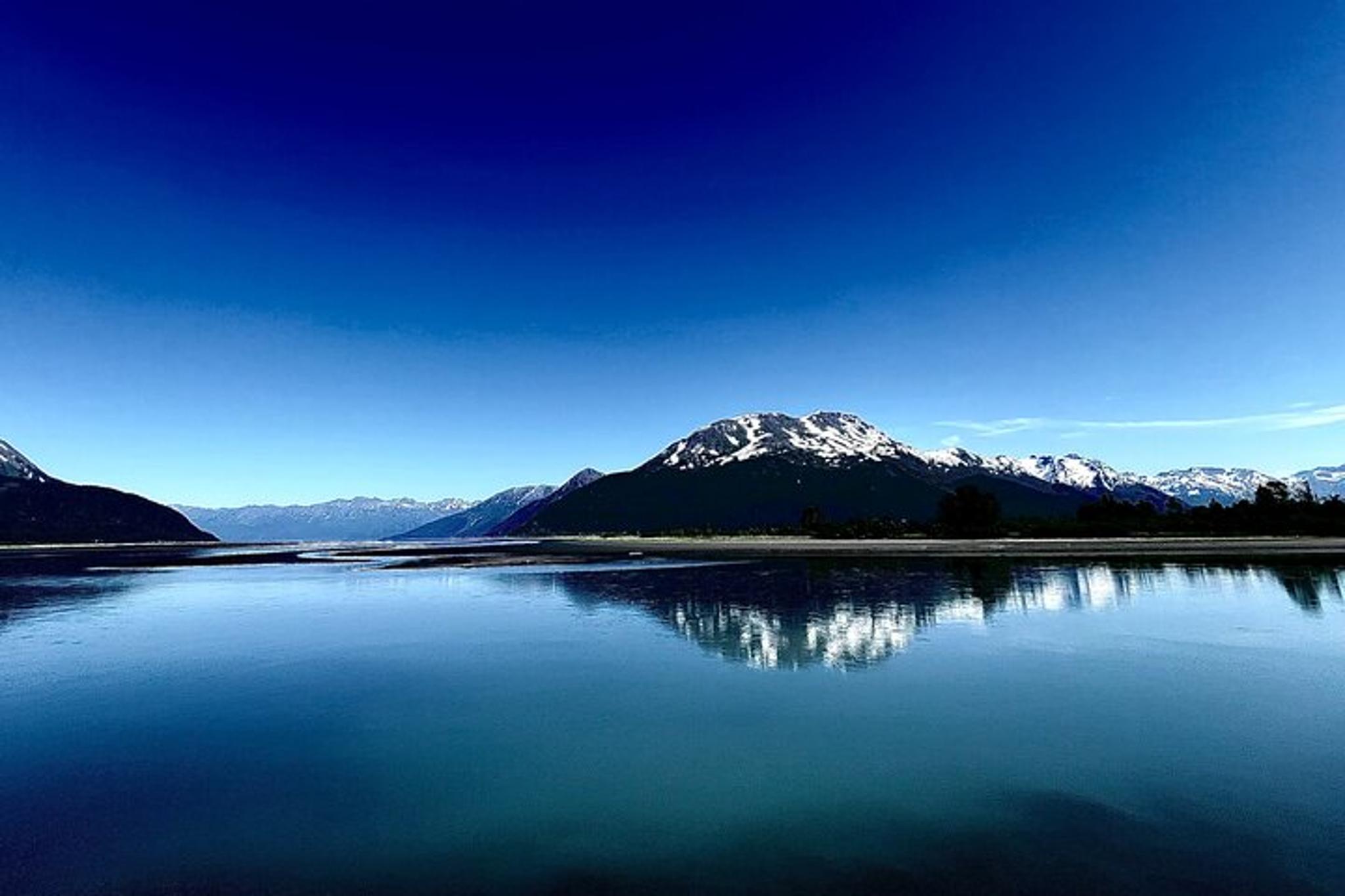 Anchorage Wildlife Sanctuary and Glacier Hike - Image 6