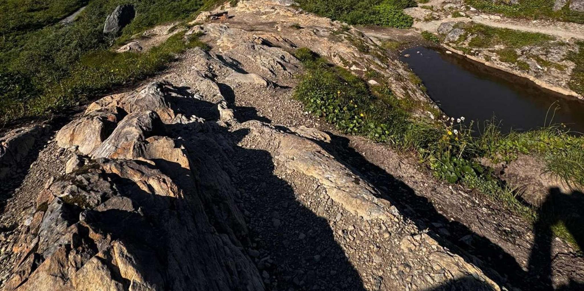 Anchorage Grand Alaska Highlights Tour 6 Days - Image 6