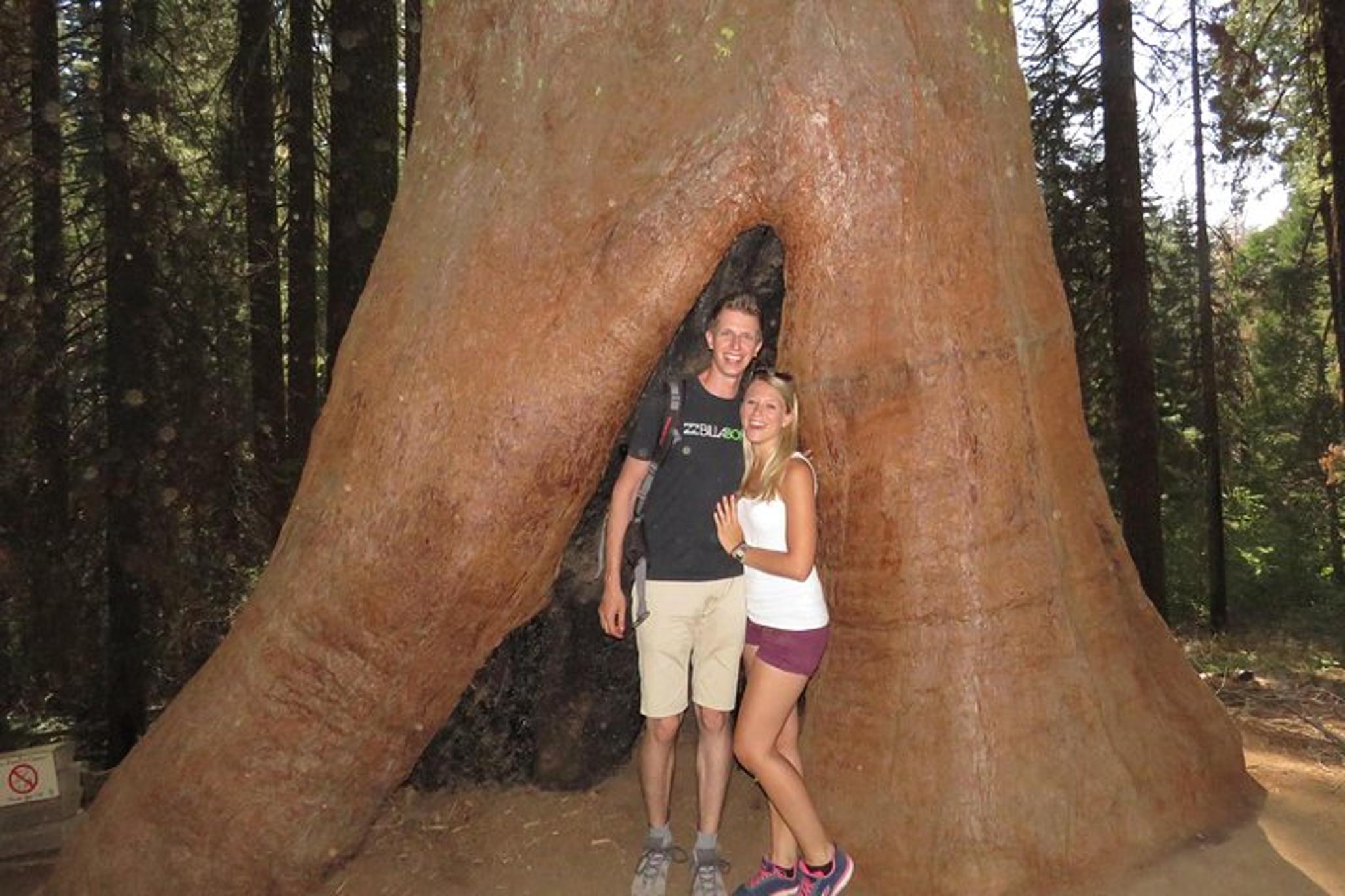 Yosemite National Park Private Tour with Hotel 2-Day - Image 6