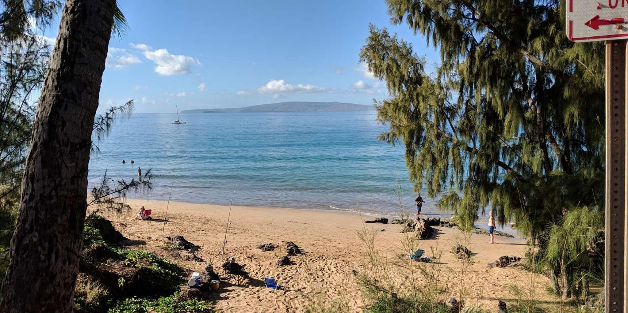 Maui Beach Snorkel Tour - Image 4