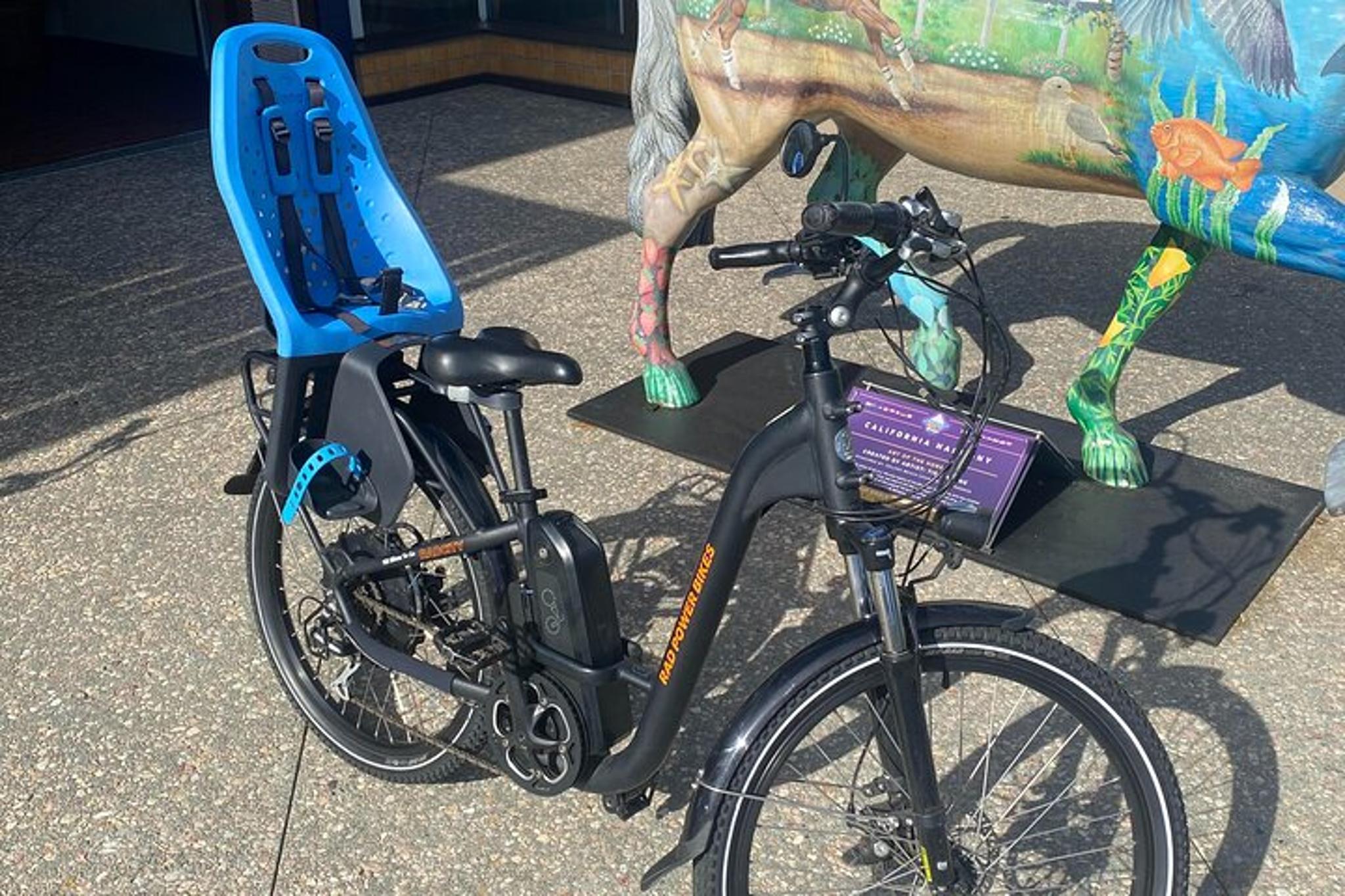 Solana Beach Electric Bike Rental - Image 6