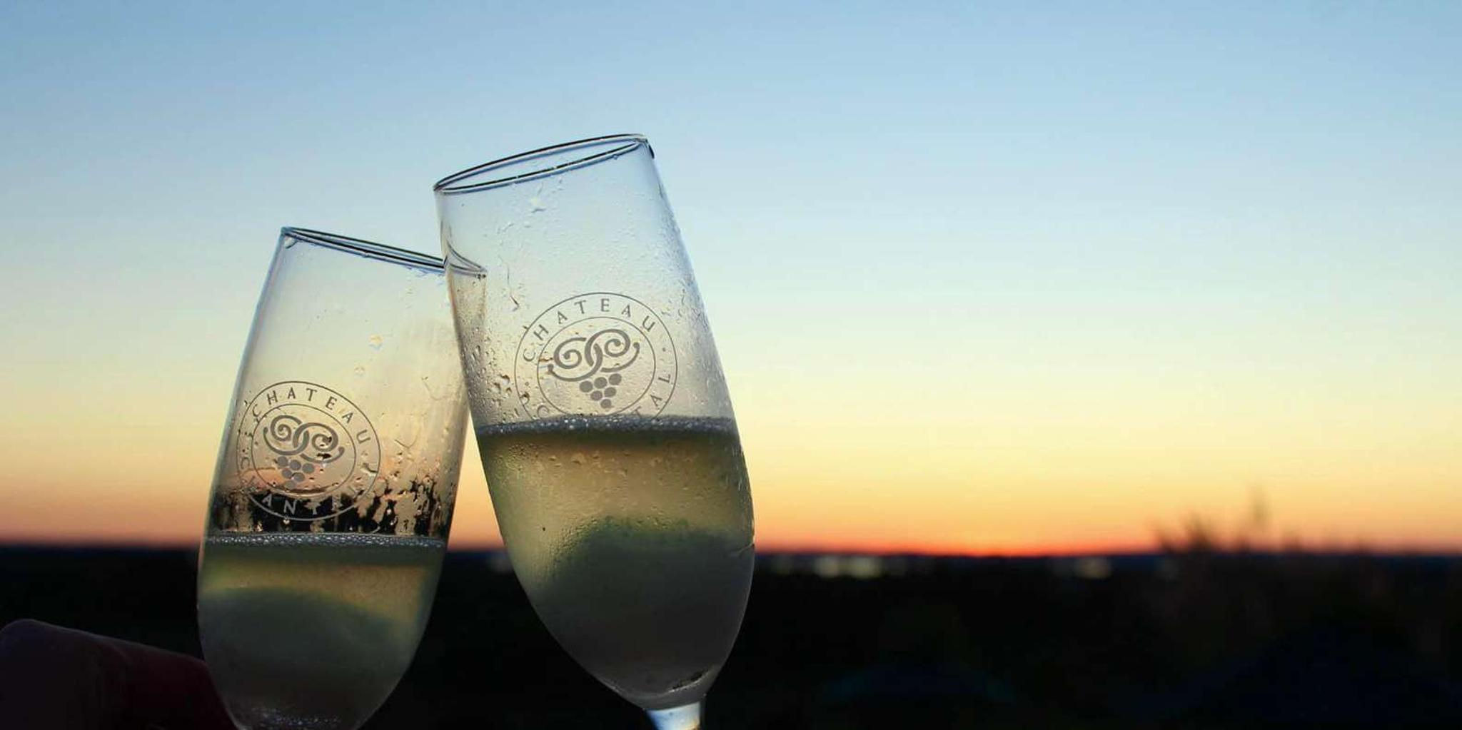 Traverse City Wine Tour with Champagne Bubbly