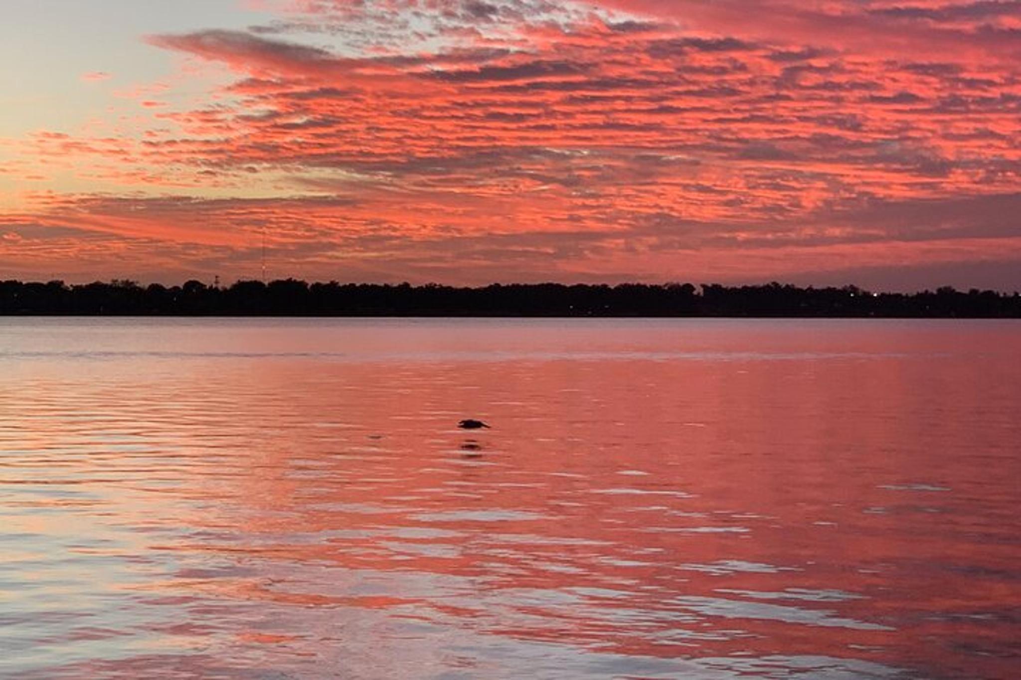 Key Largo Pontoon Boat Tour at Sunset - Image 2