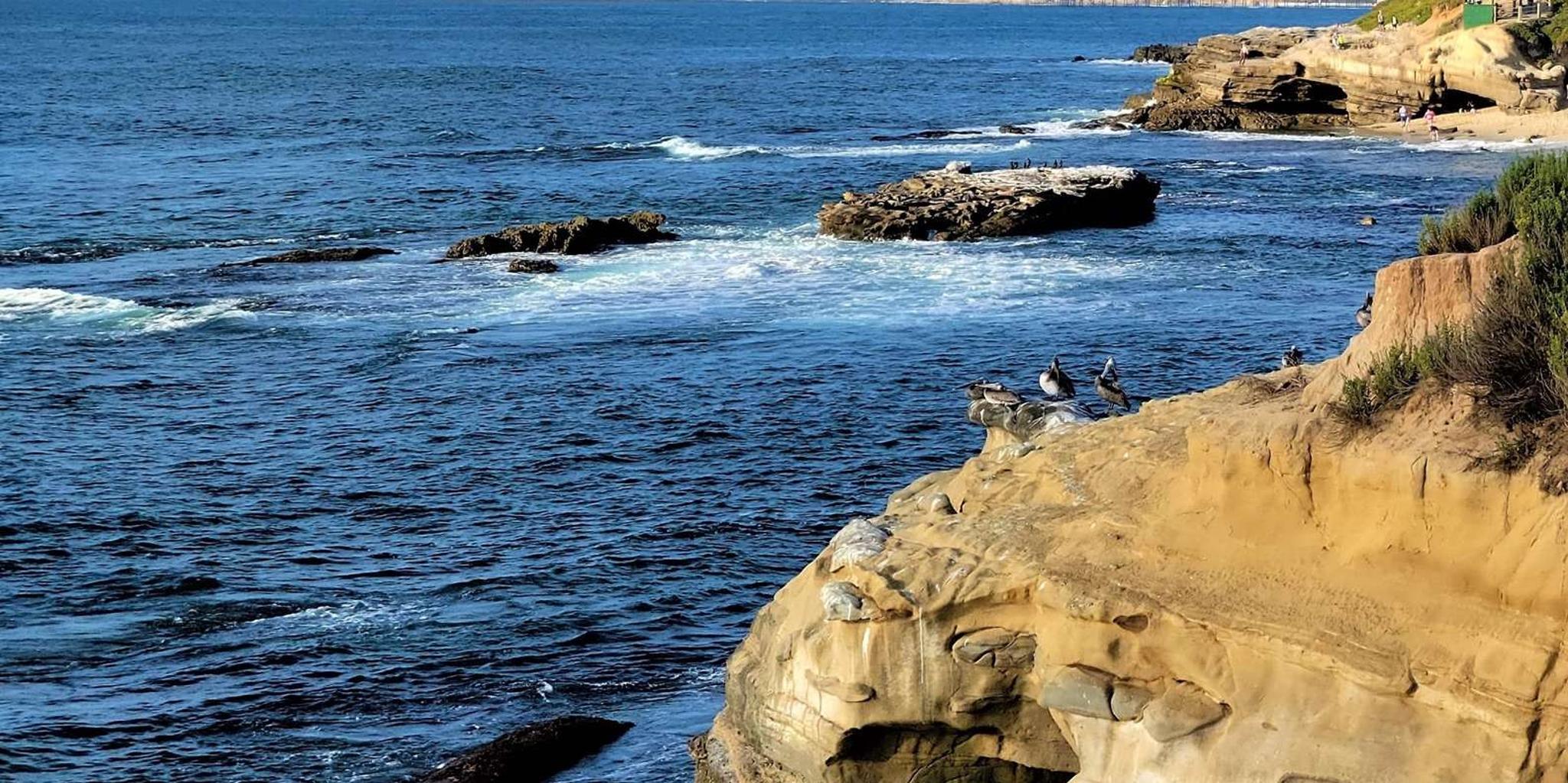 San Diego City & Beach Tour - Image 6