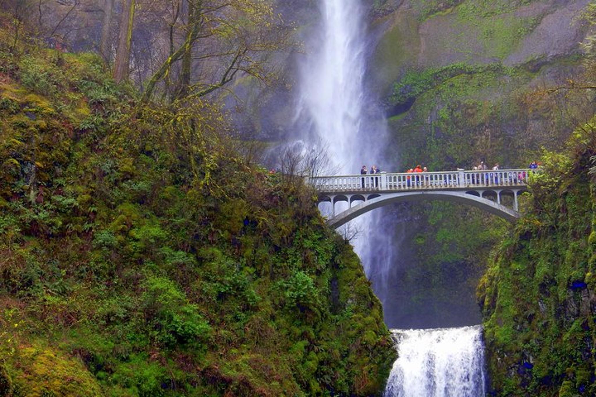 Portland Columbia River Gorge Waterfalls Tour - Image 1