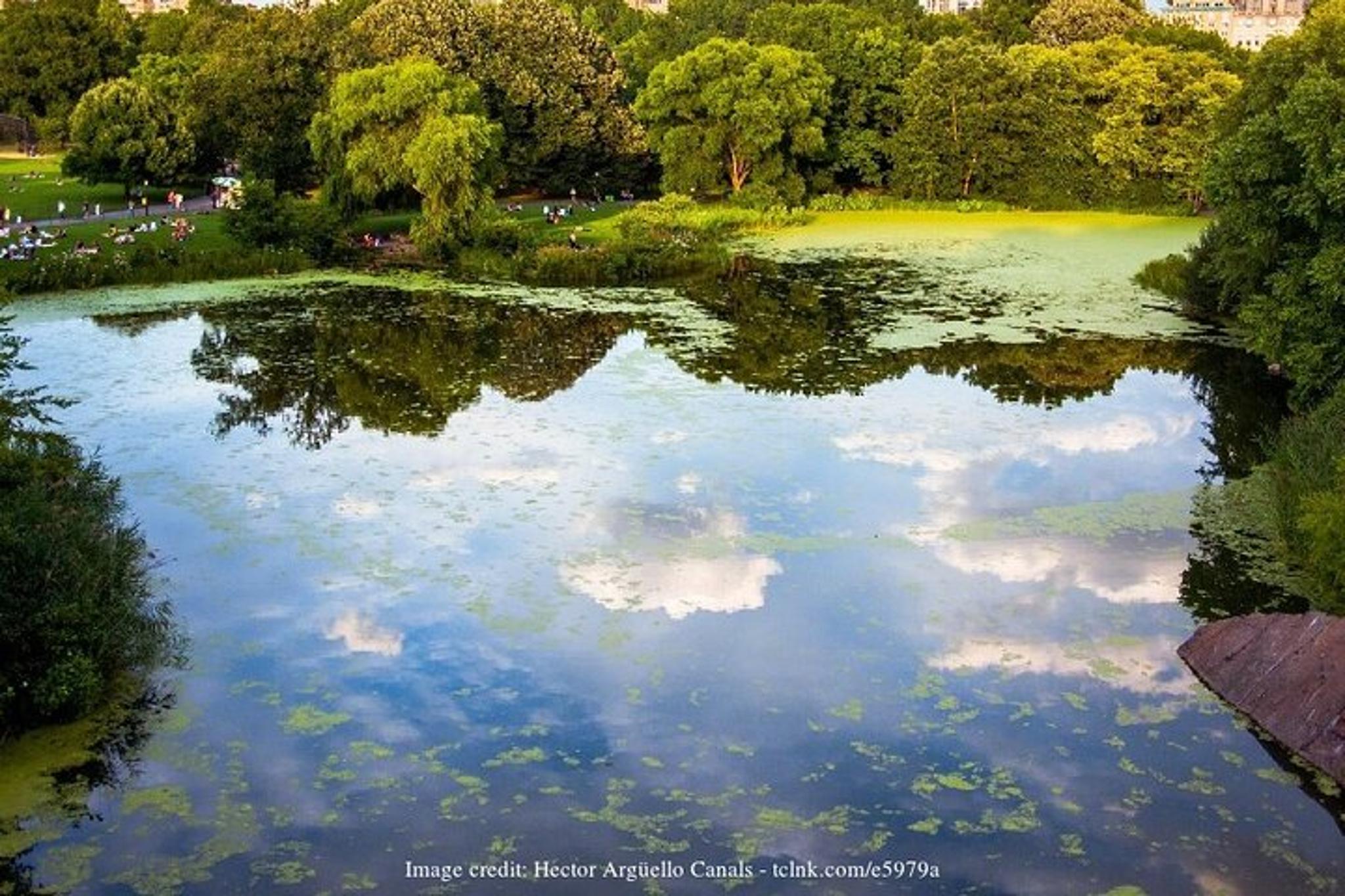 New York City Central Park Filming Locations Tour - Image 3
