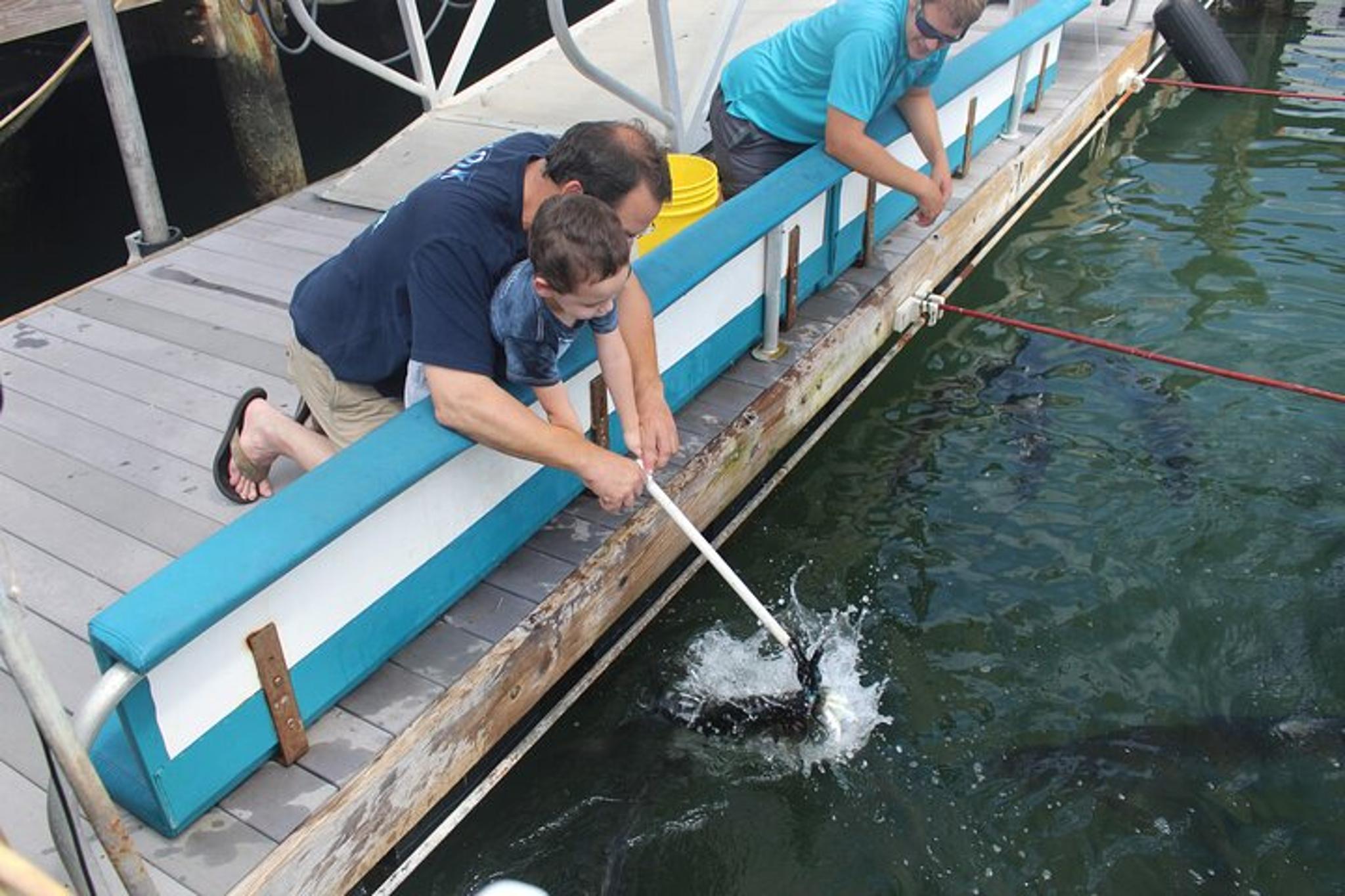 Miami Tarpon Fish Feeding Experience - Image 6