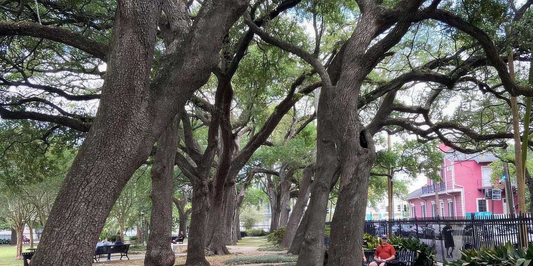 New Orleans Marigny Architecture Tour - Image 6