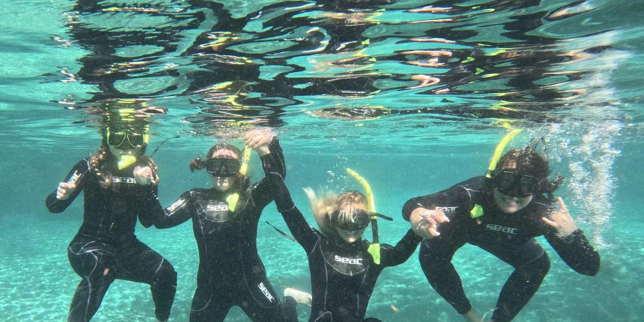 Crystal River Manatee Snorkel Tour - Image 4