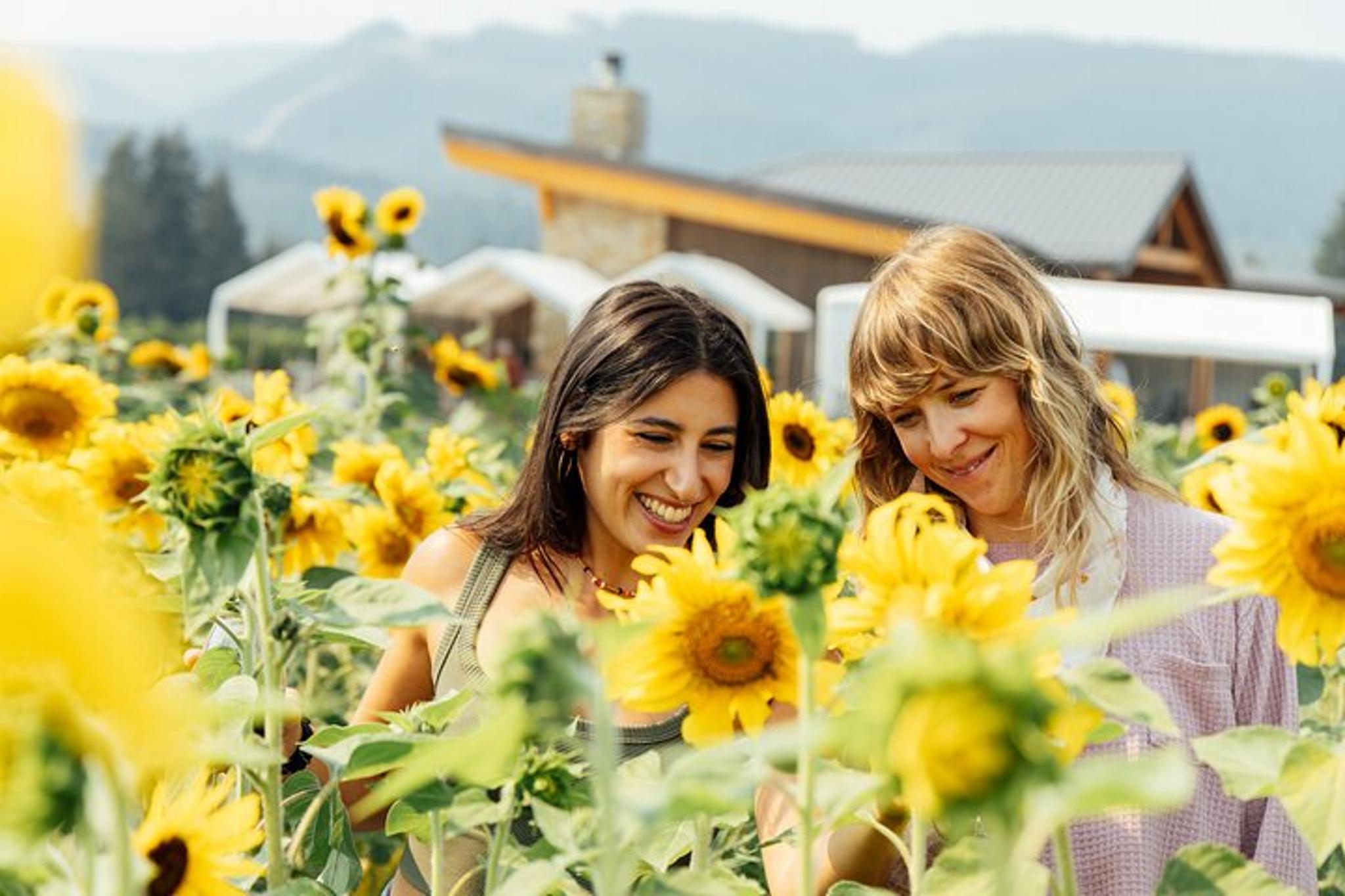 Hood River Valley Tour: Timberline, Orchards, Waterfalls - Image 4
