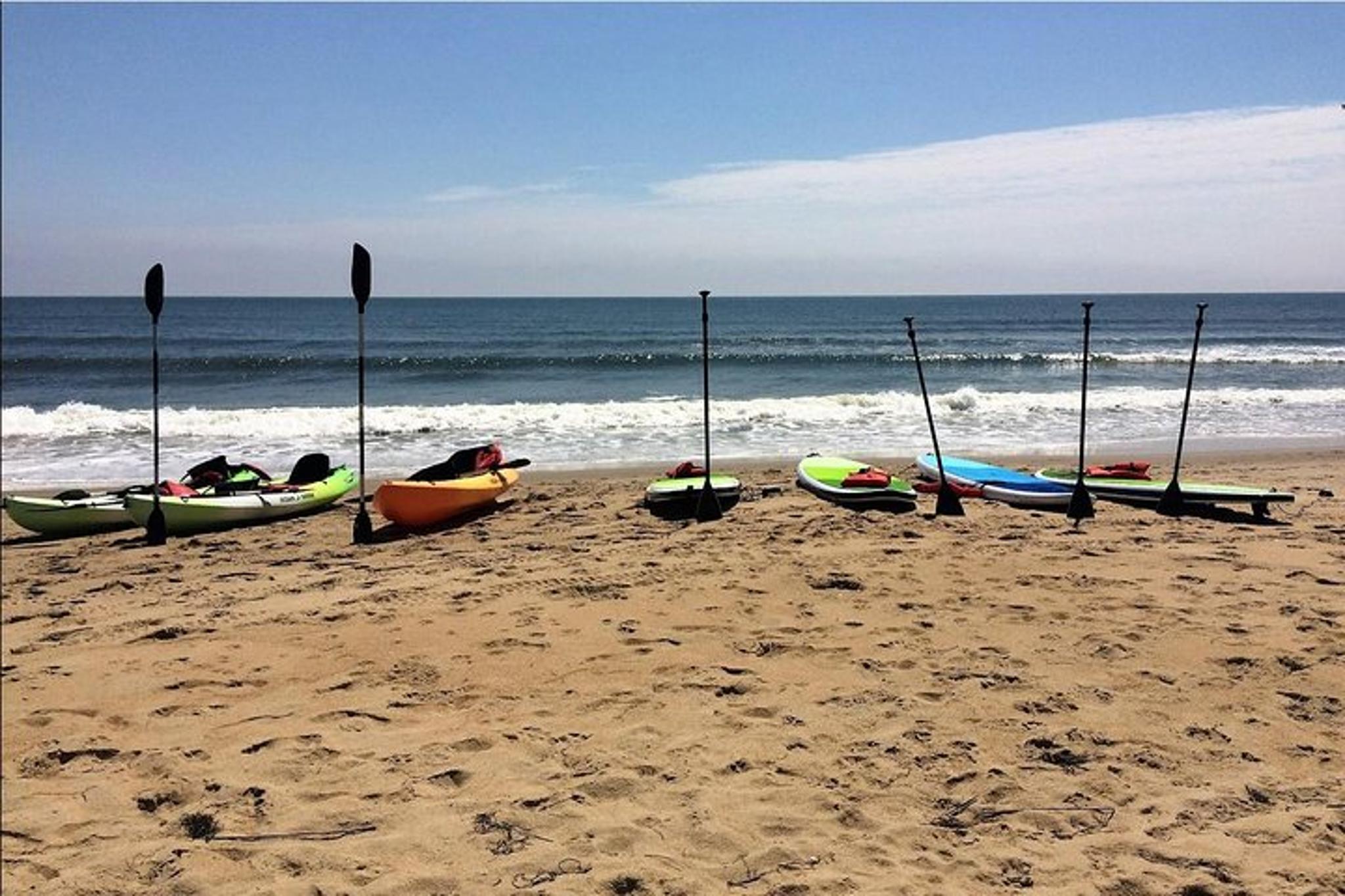 Virginia Beach Dolphin Kayak Eco-Tour 2 hr - Image 4