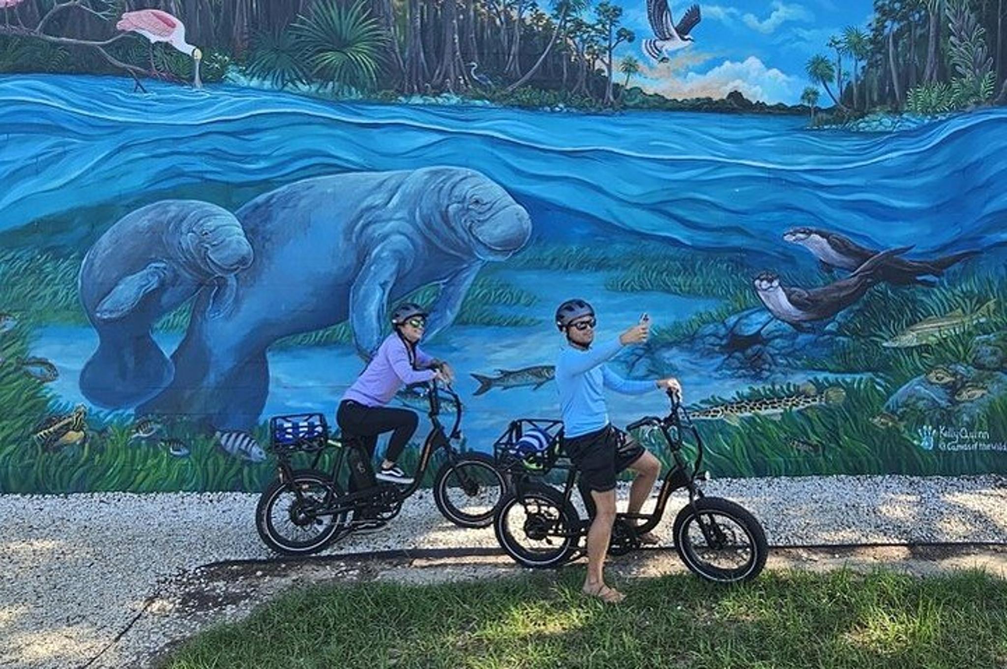 Crystal River E-Bike Tour - Image 4