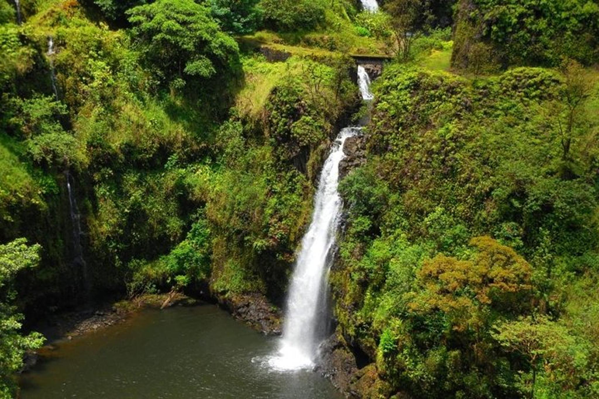 Maui Road to Hana Tour with Black Sand Beach and Waterfalls - Image 2