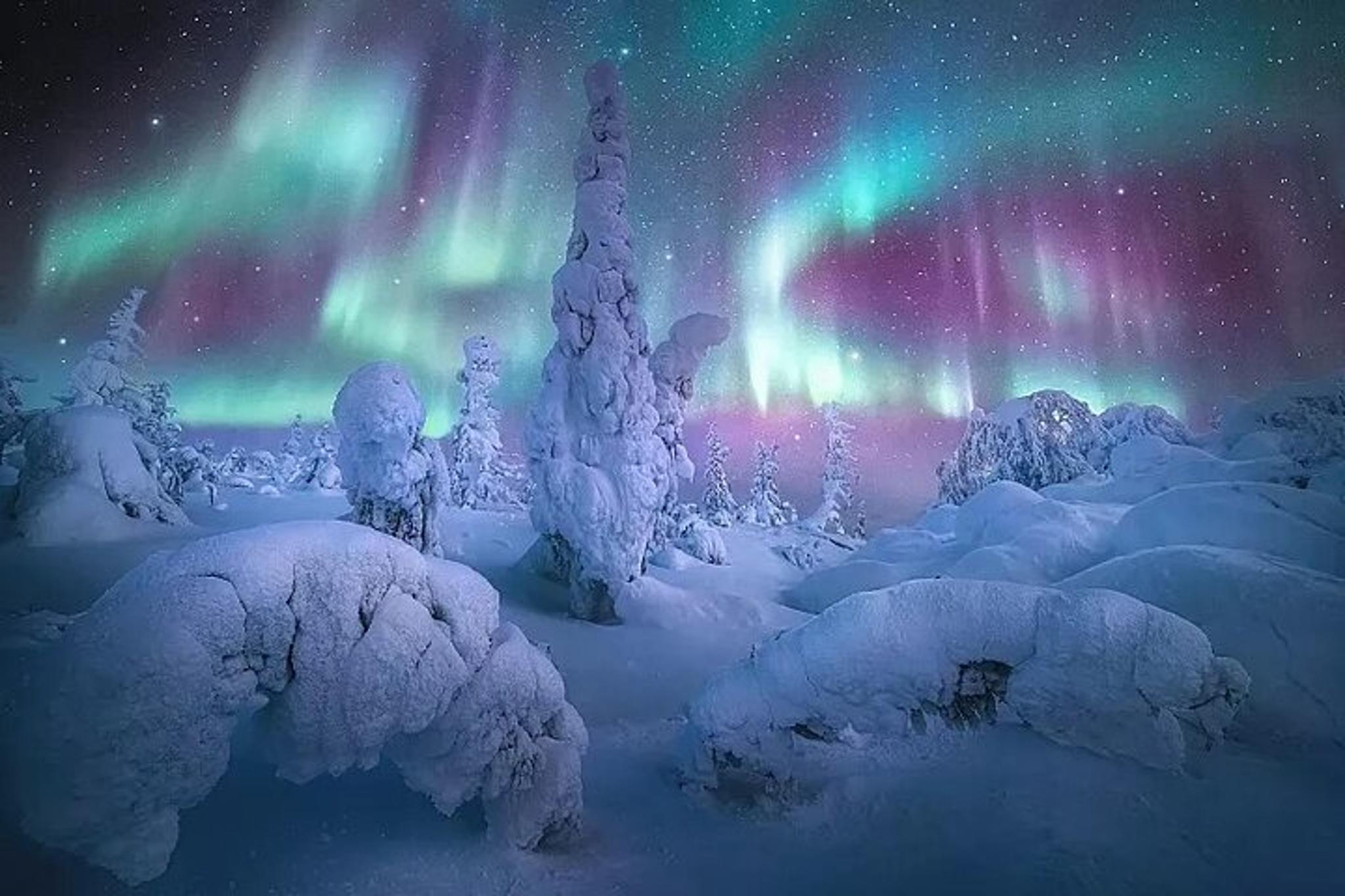 Fairbanks Northern Lights and Arctic Circle Tour - Image 5