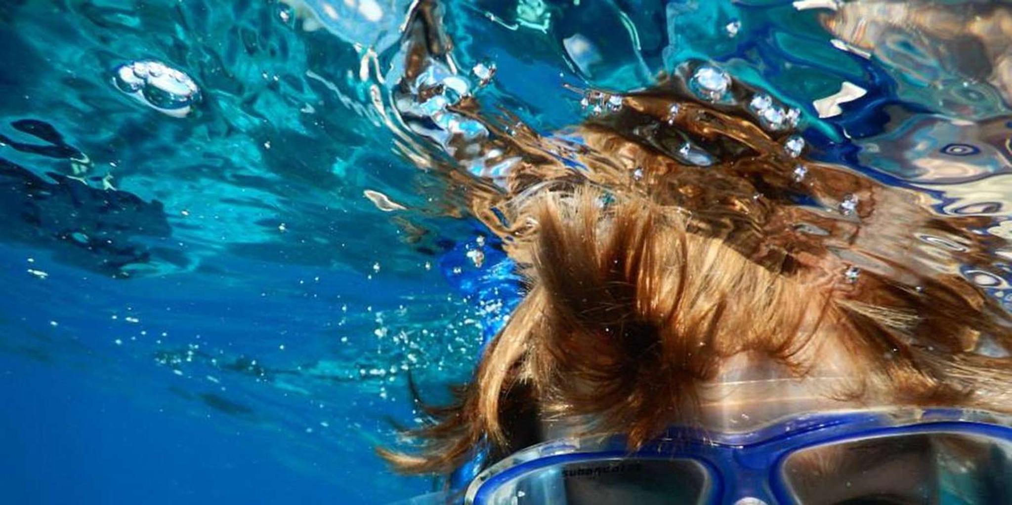 Hilo Snorkeling Tour with Nature Walk - Image 4