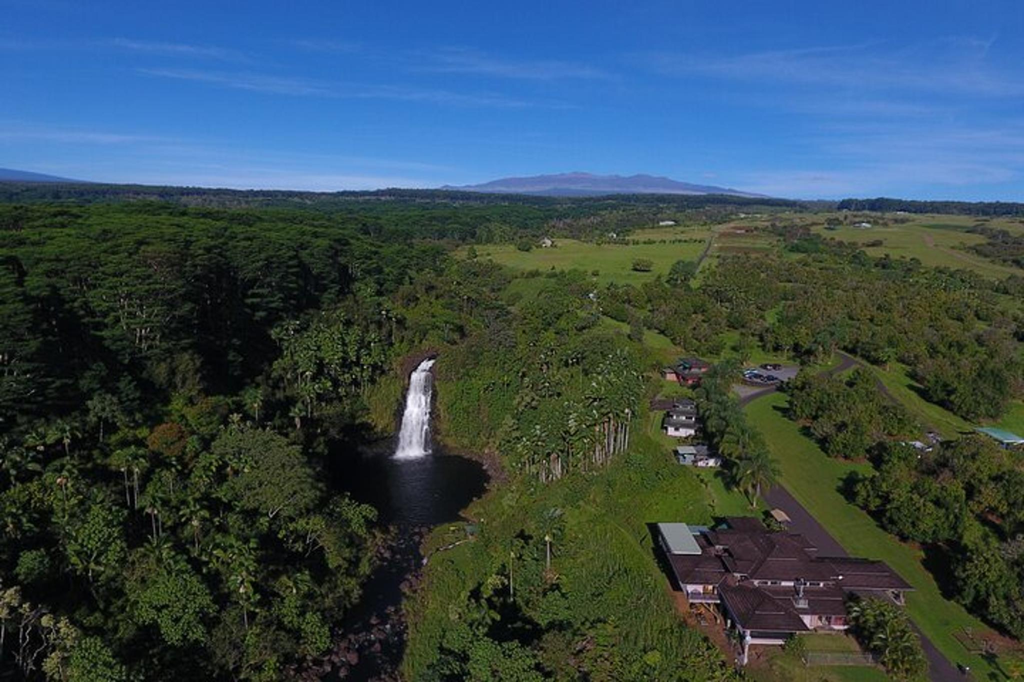 Hilo Kulaniapia Falls Daypass - Image 3