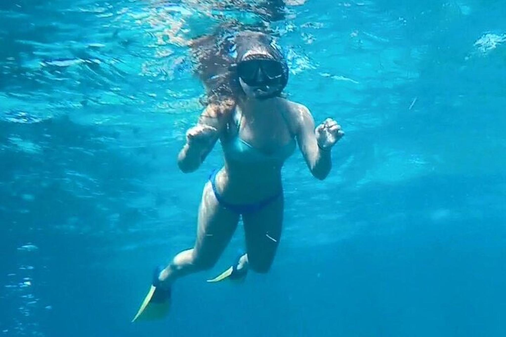 Egmont Key Island Tour with Dolphins & Snorkeling - Image 2