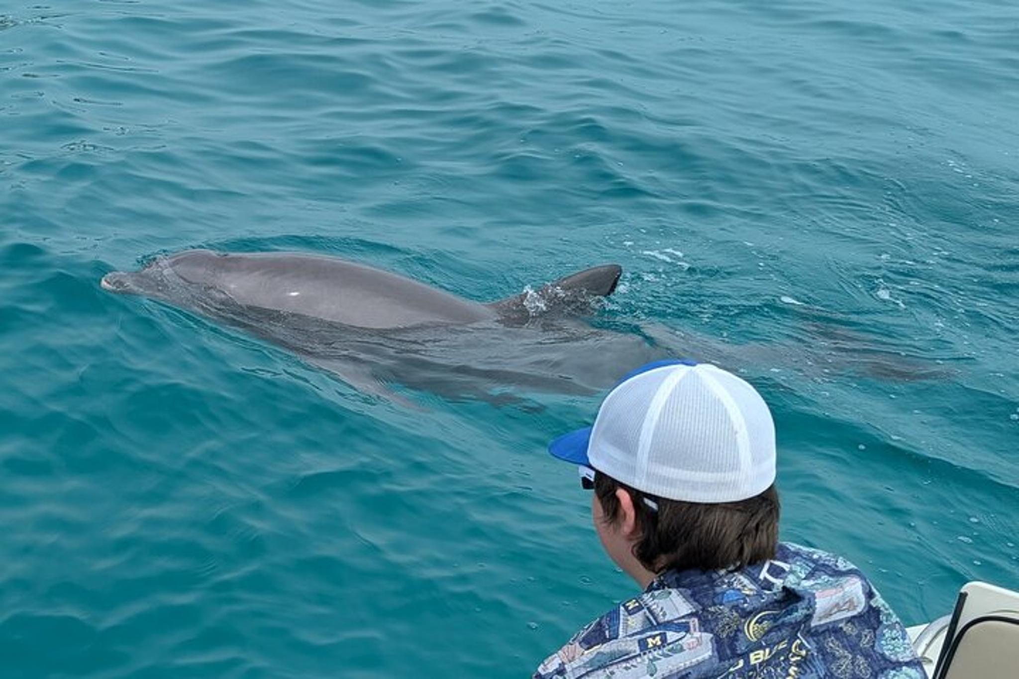 Panama City Beach Dolphin Tour - Image 4