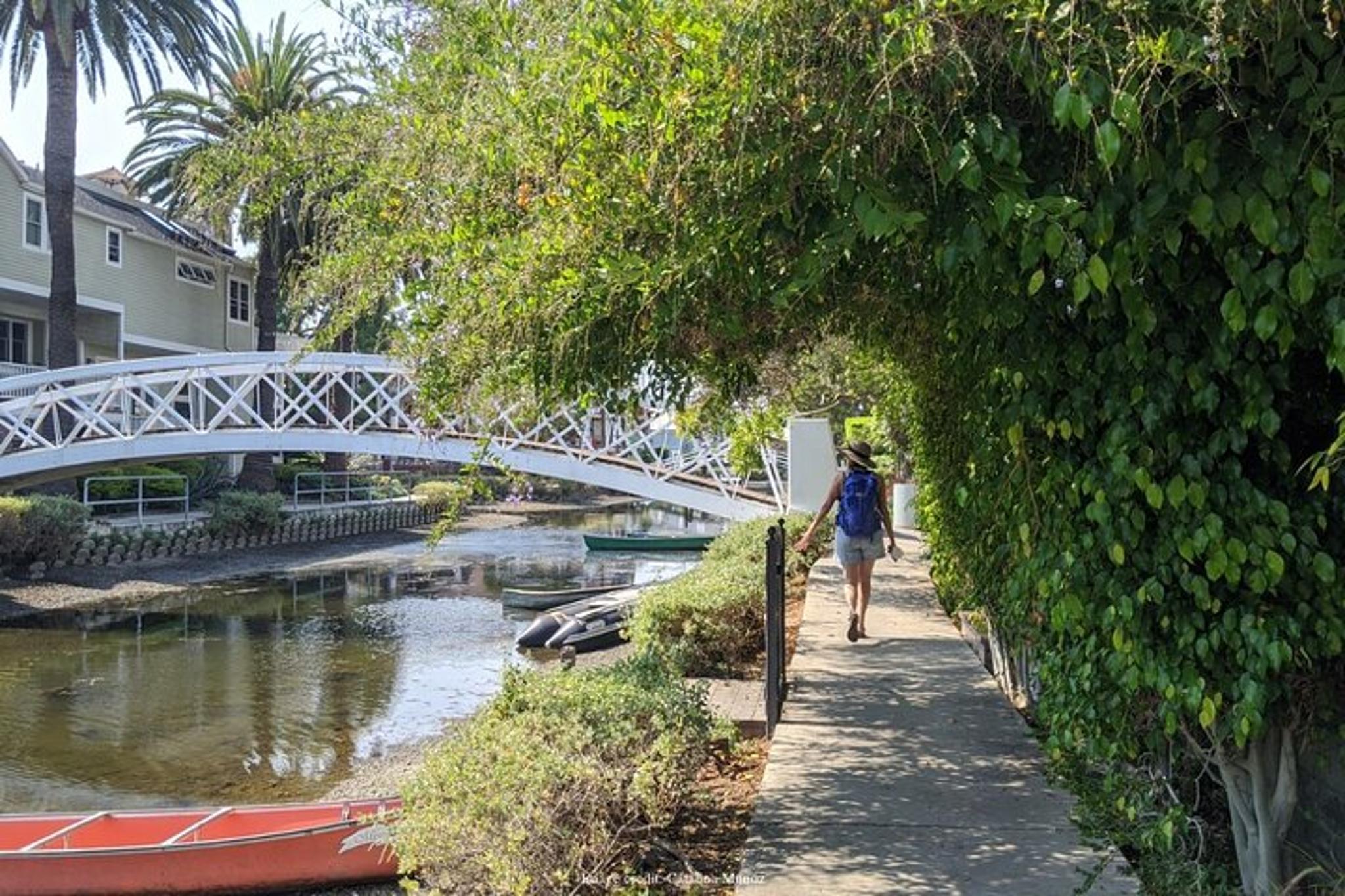 Venice Beach Walking Tour - Image 6
