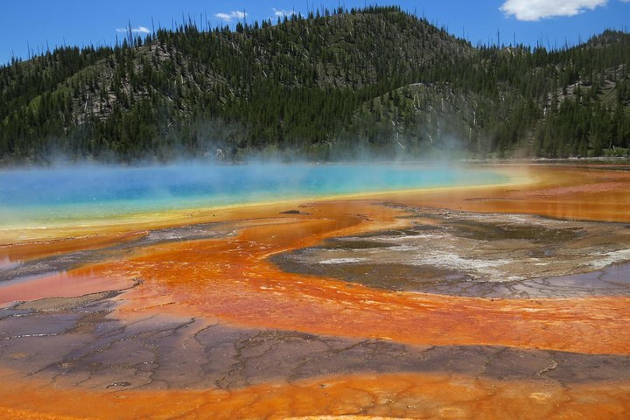Jackson Hole Yellowstone Lower Loop Private Tour