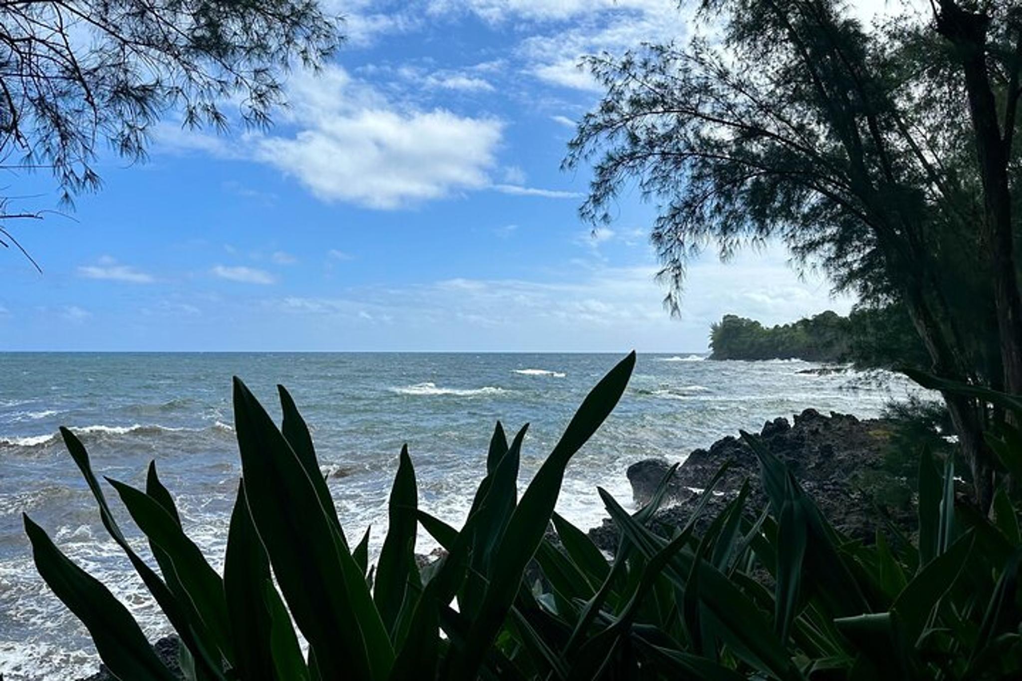 Hawaii Sightseeing Tour - Image 2