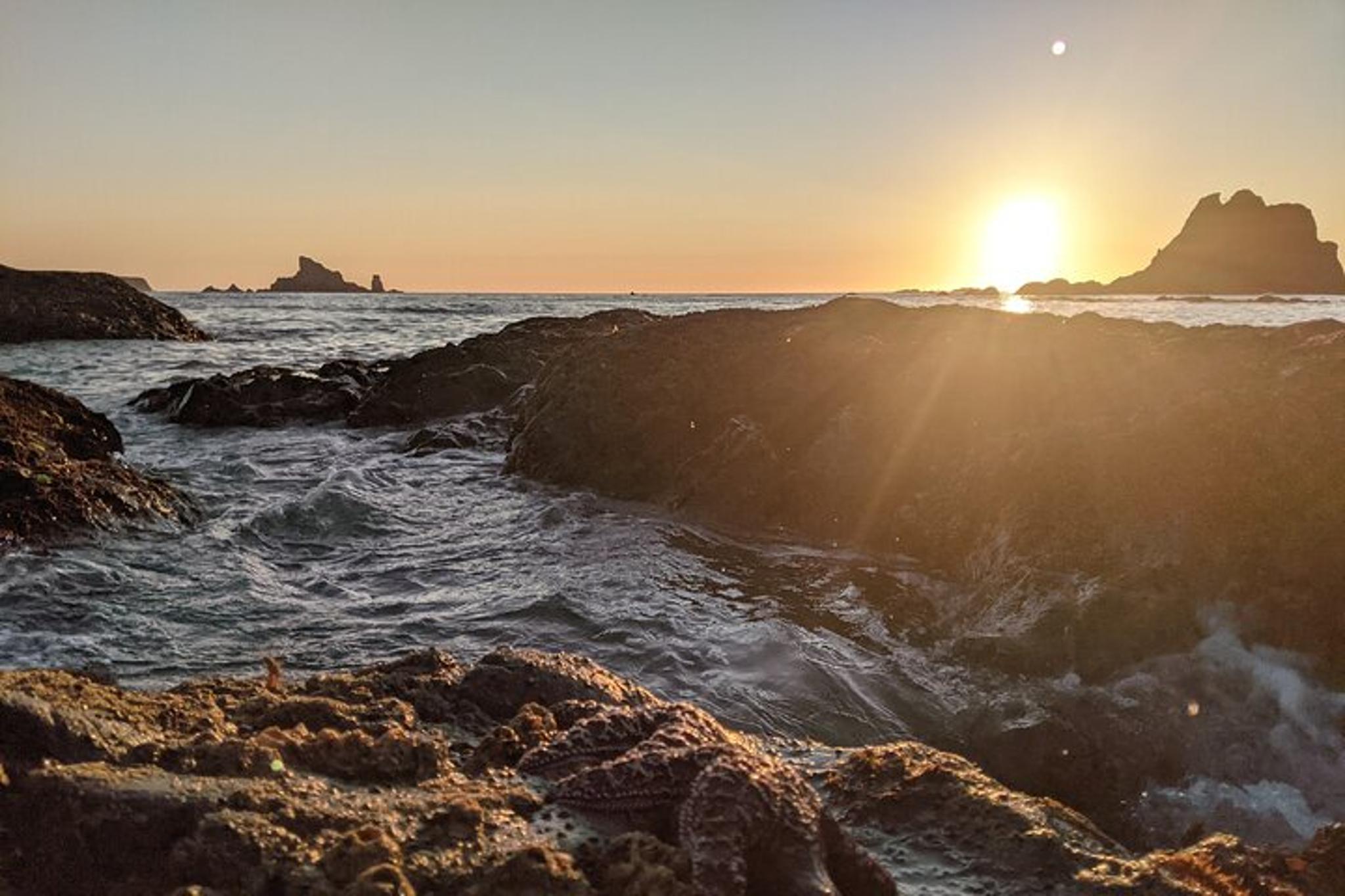 Rialto Beach Tide Pooling Hike - Image 3