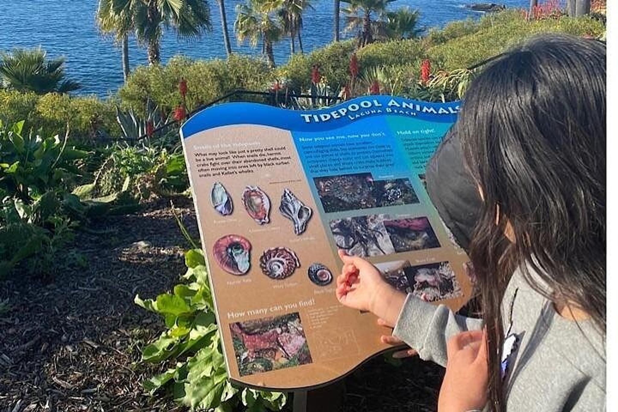 Laguna Beach & Balboa Pier Private Tour - Image 6