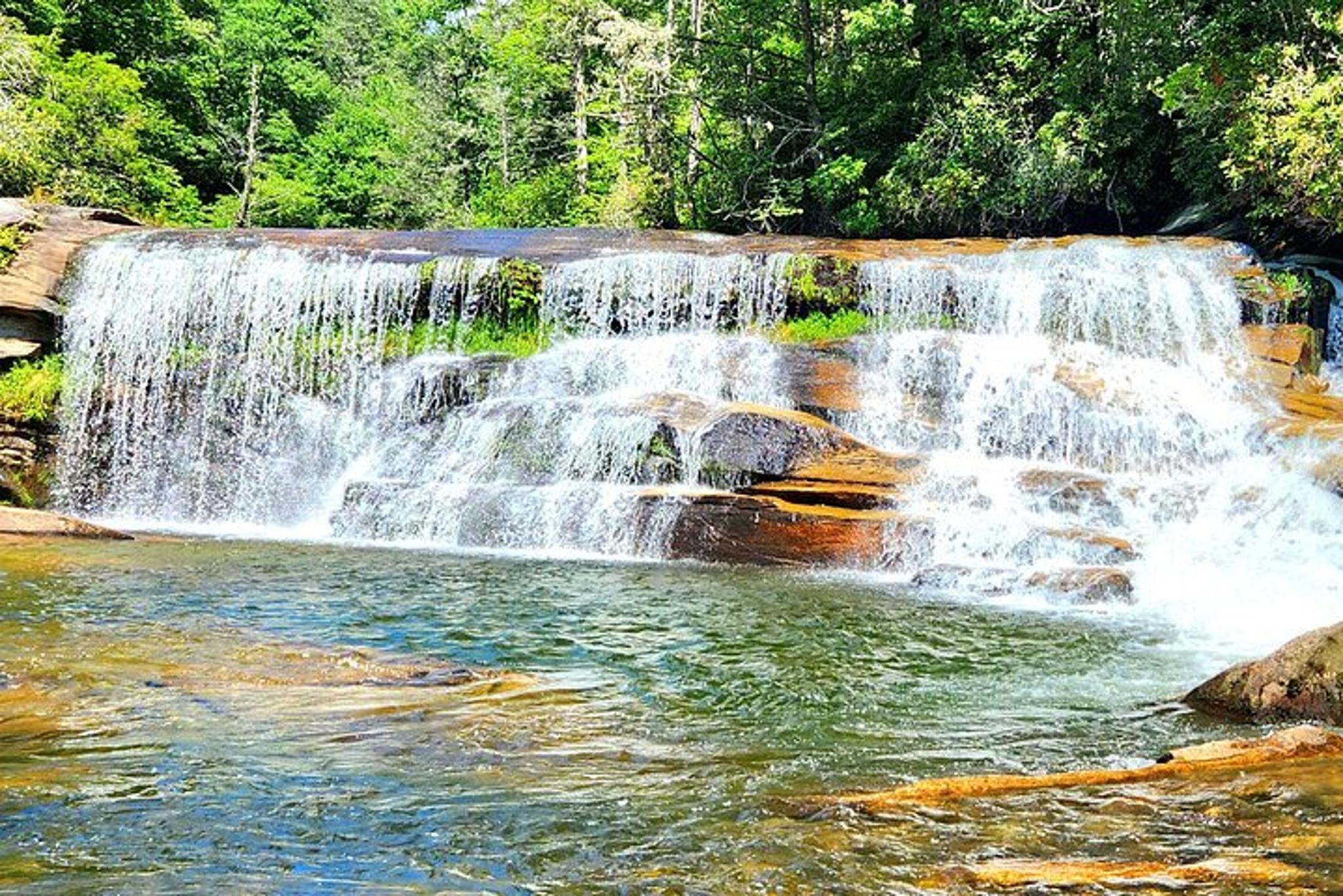 Asheville Hiking Tour in Blue Ridge Mountains - Image 3