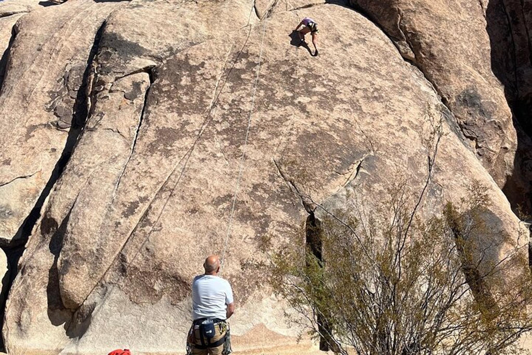 Joshua Tree National Park Sightseeing Tour - Image 2