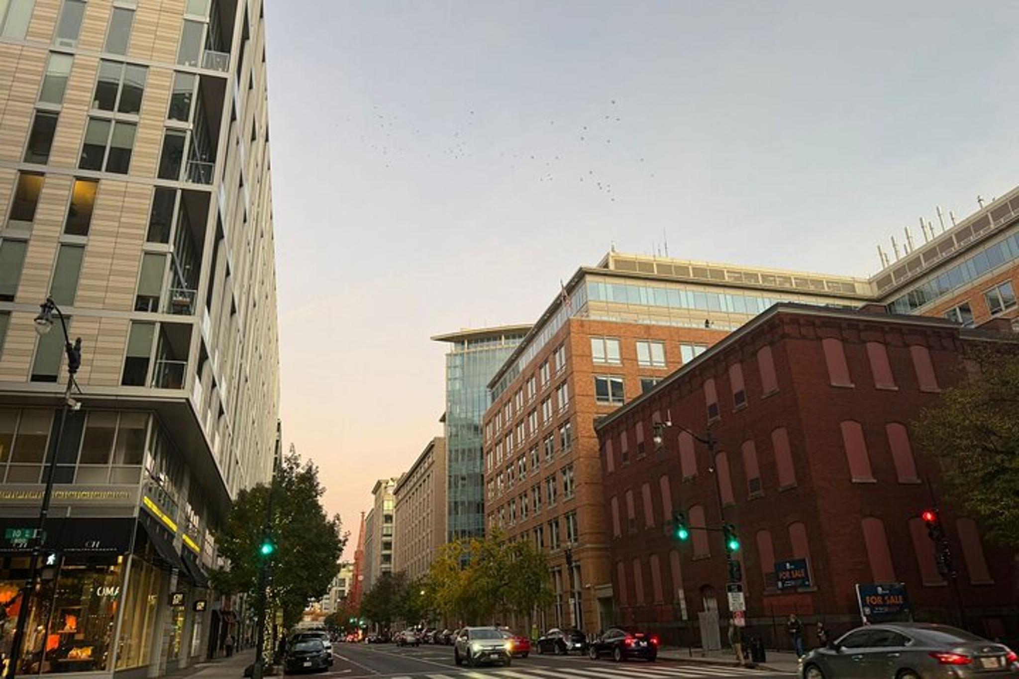 Washington DC Tour from New York City - Image 4