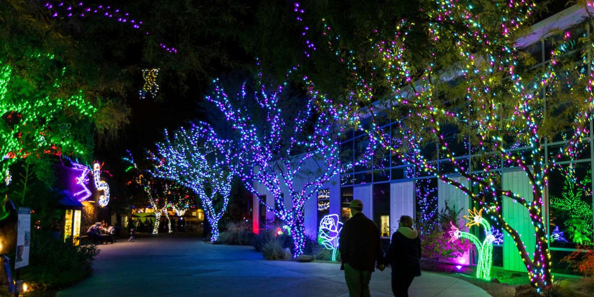 Phoenix ZooLights Entry Ticket - Image 2