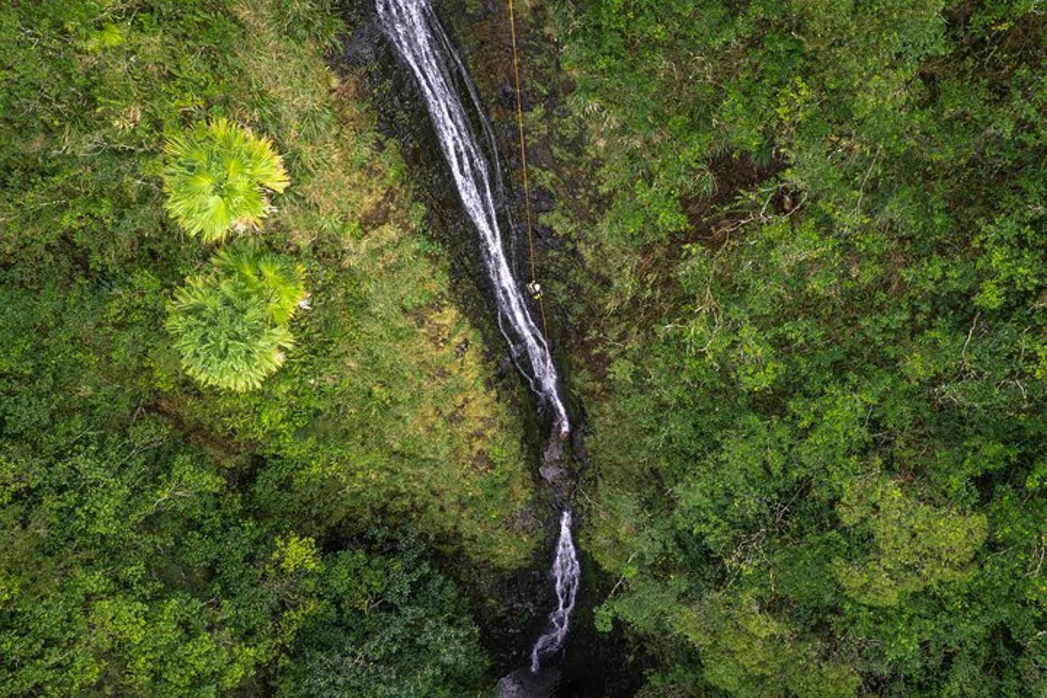 Oahu Waterfall Rappelling Adventure - Image 6